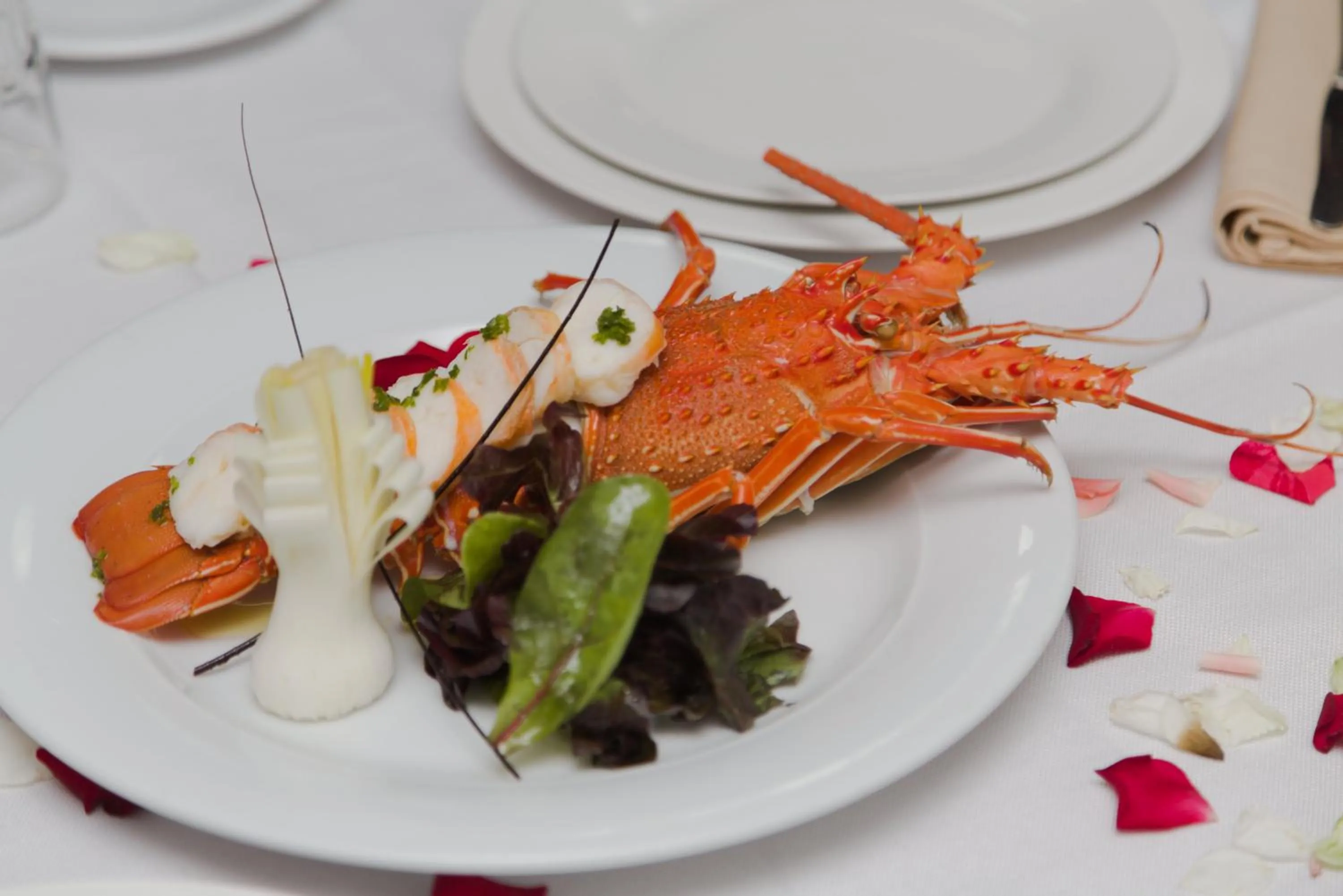 Food and drinks in Al Akhawayn