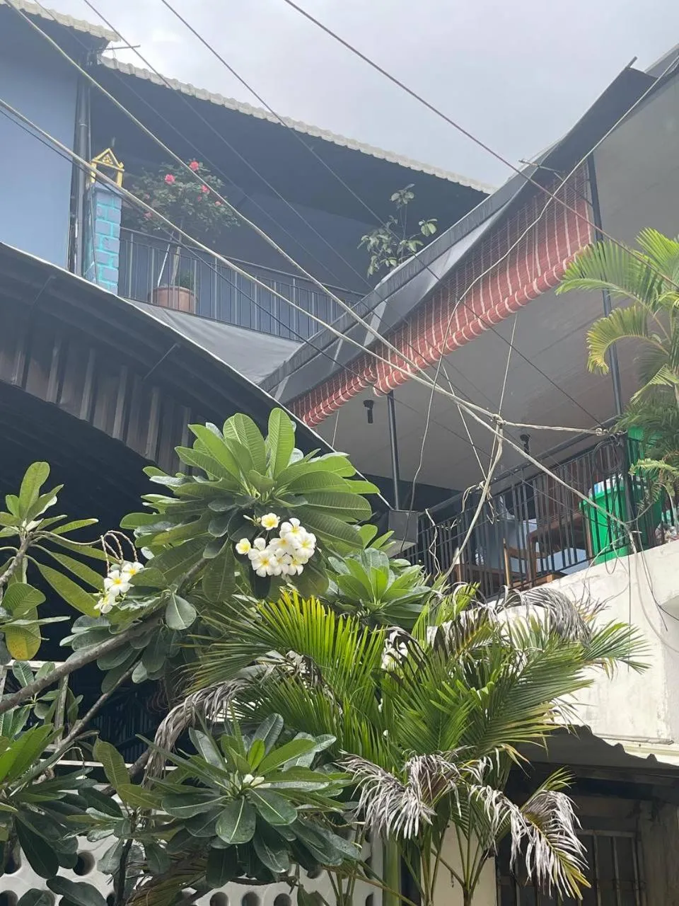 Property building in Bat Chum Villa