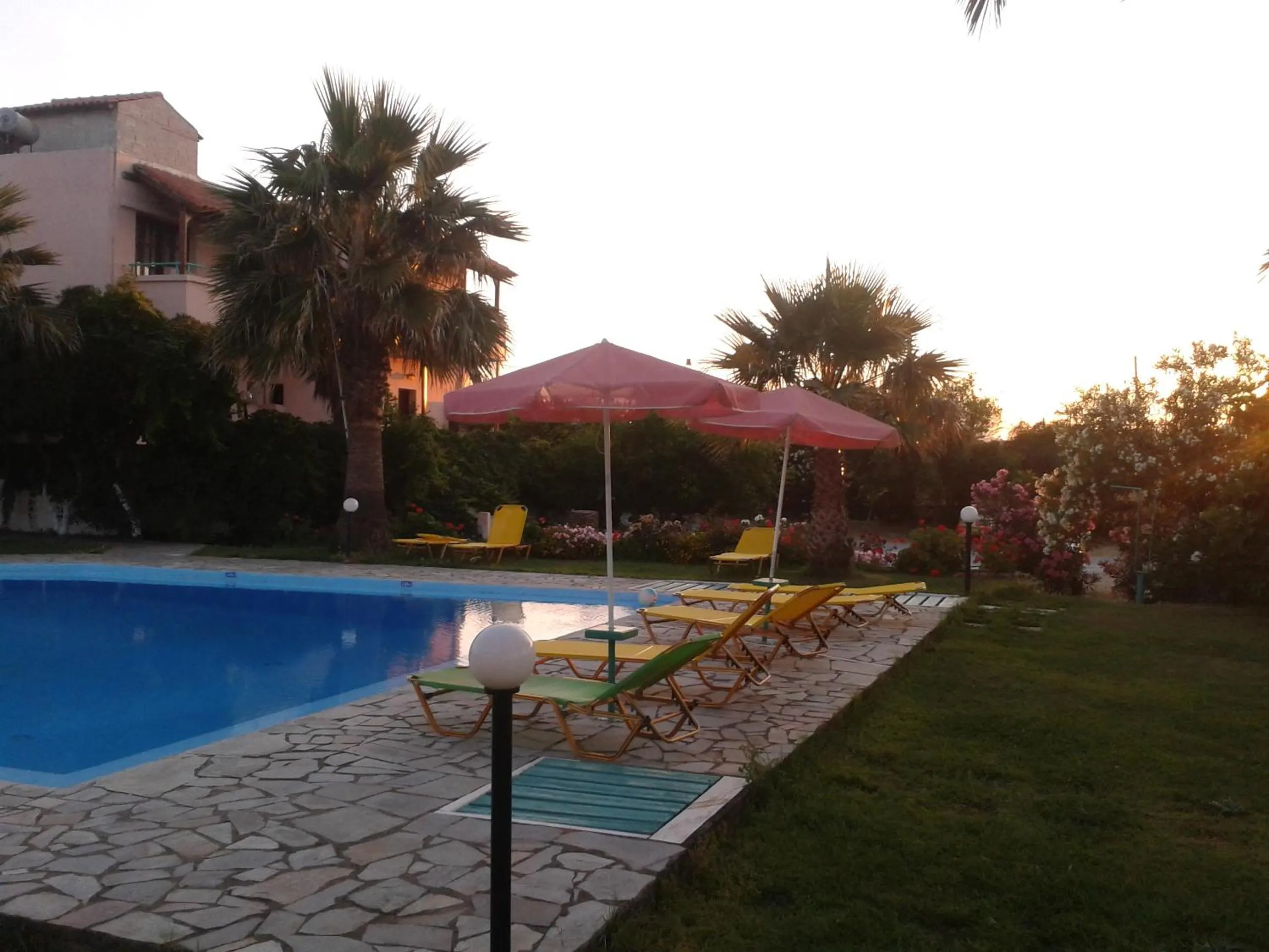 Garden in Pardalakis Studios