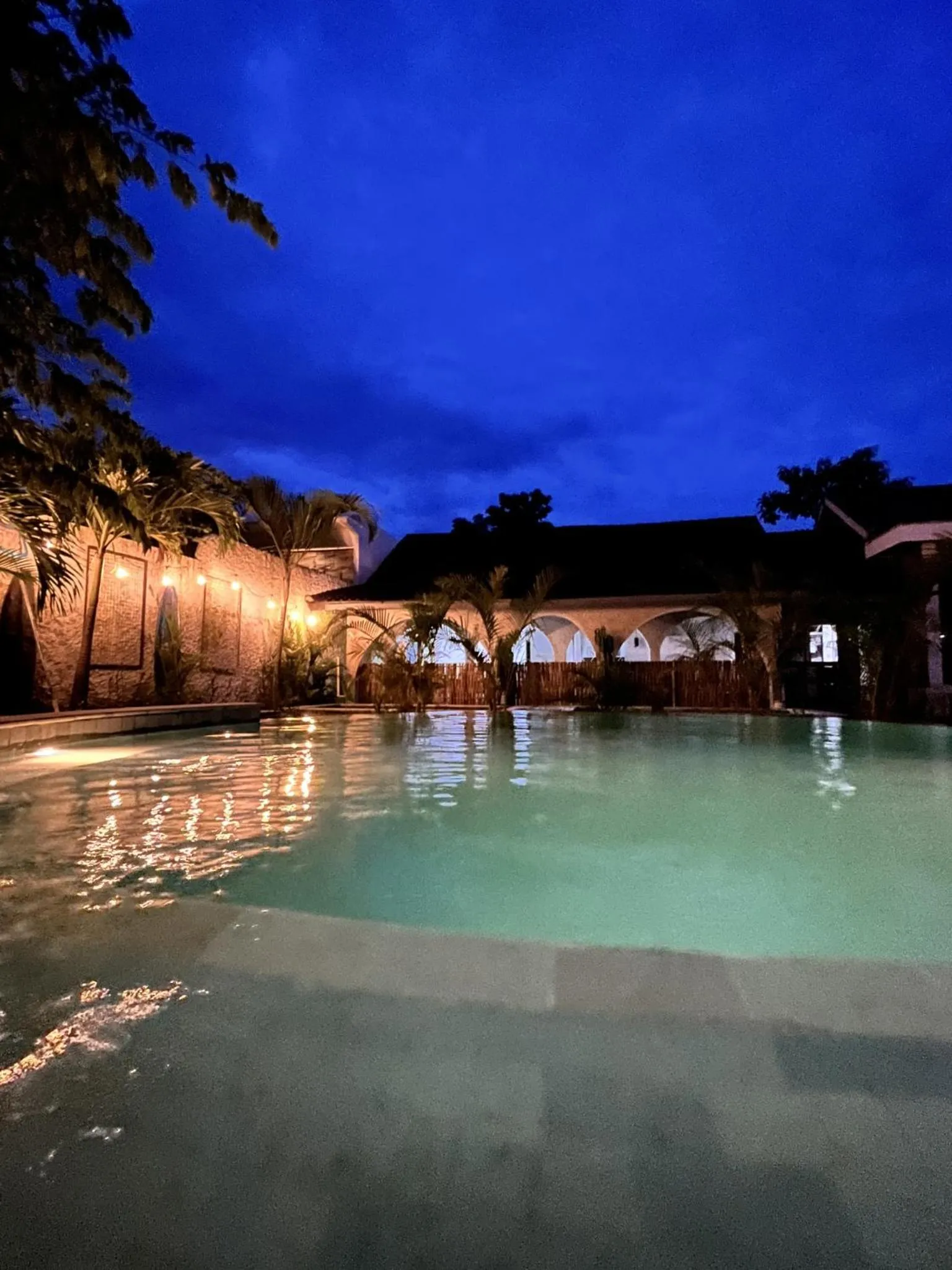 Swimming pool in Palmhouse Boutique Hotel