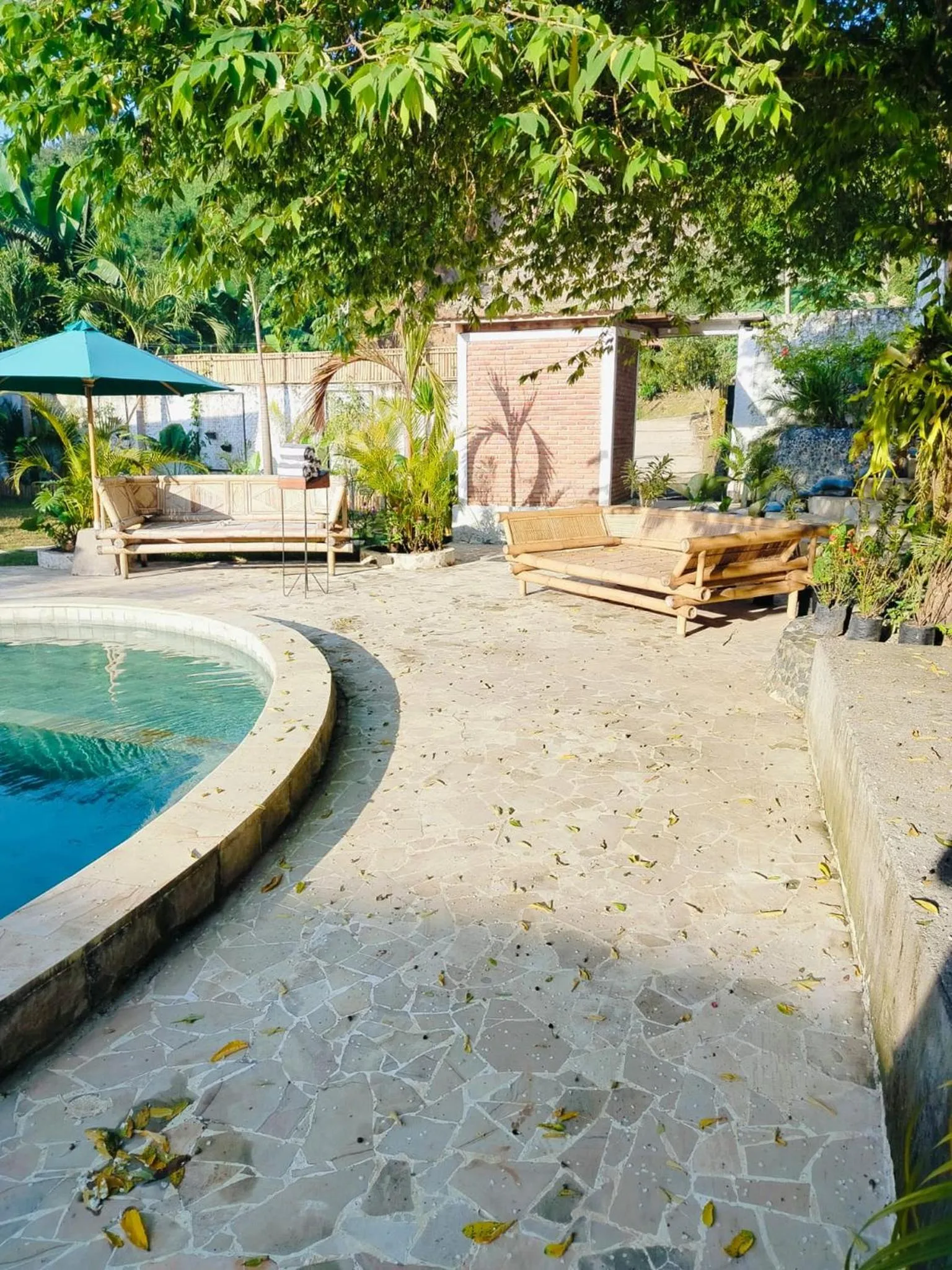 sunbed in Palmhouse Boutique Hotel