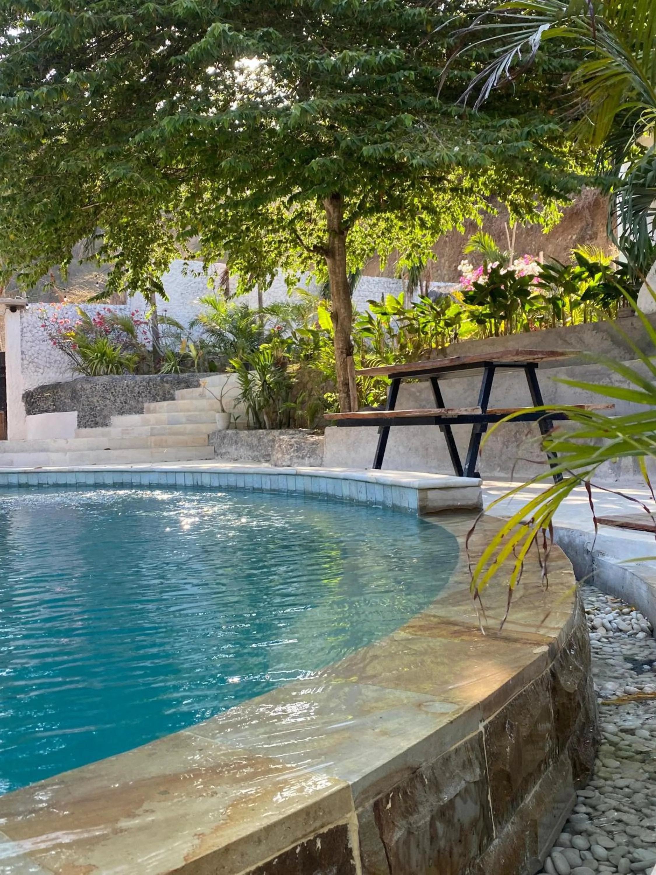Pool view in Palmhouse Boutique Hotel
