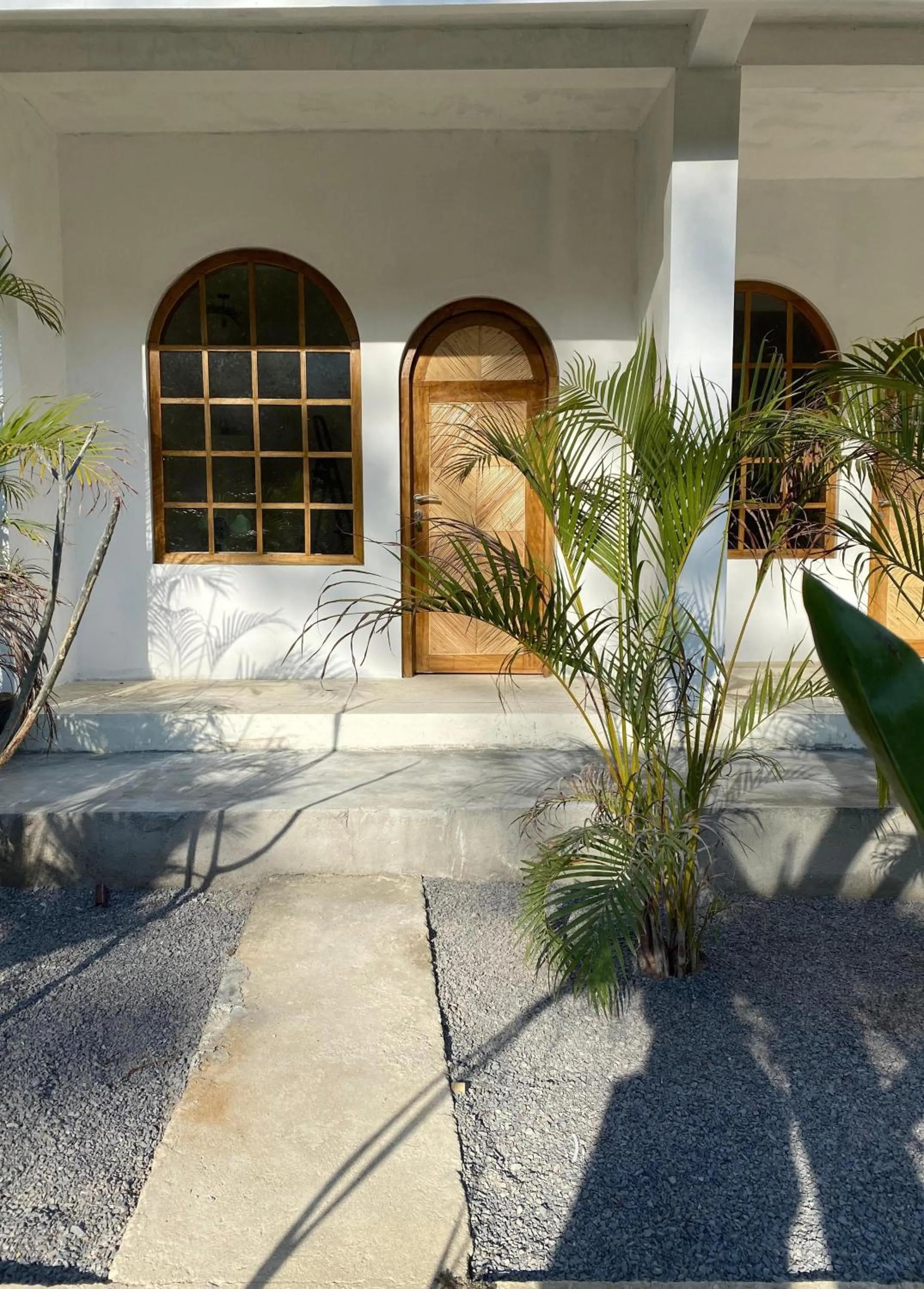 Garden view in Palmhouse Boutique Hotel