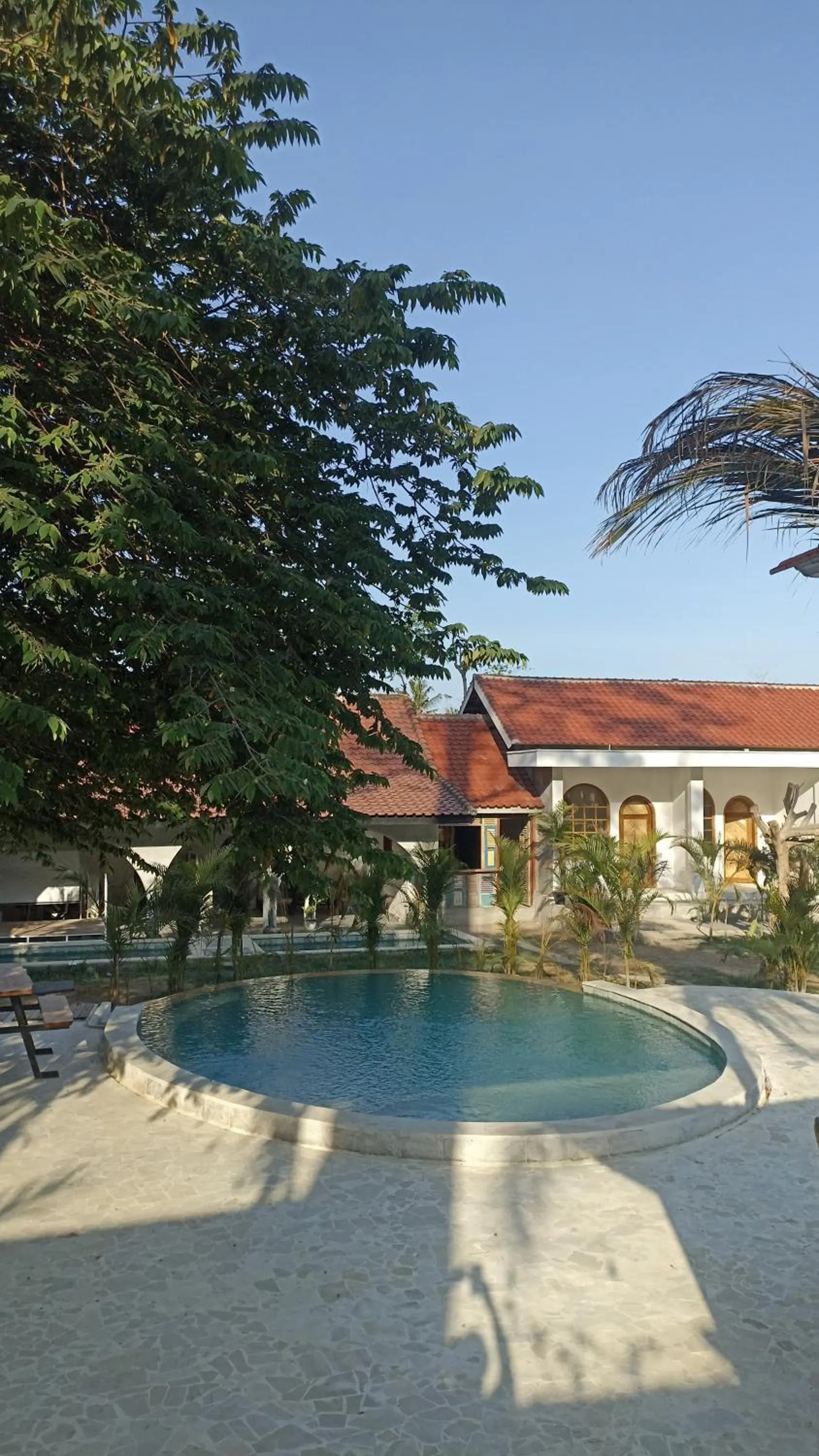 Swimming pool in Palmhouse Boutique Hotel