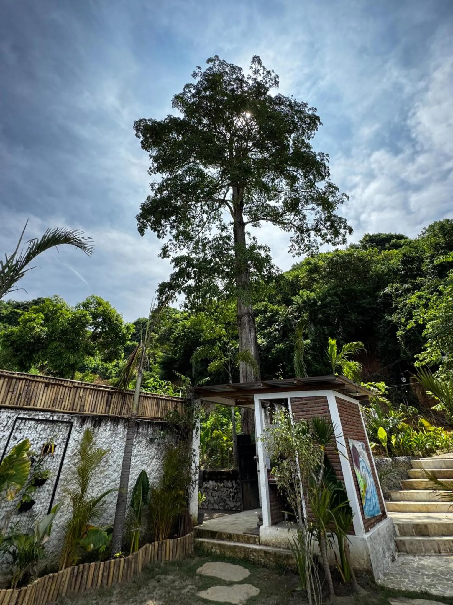 Natural landscape in Palmhouse Boutique Hotel