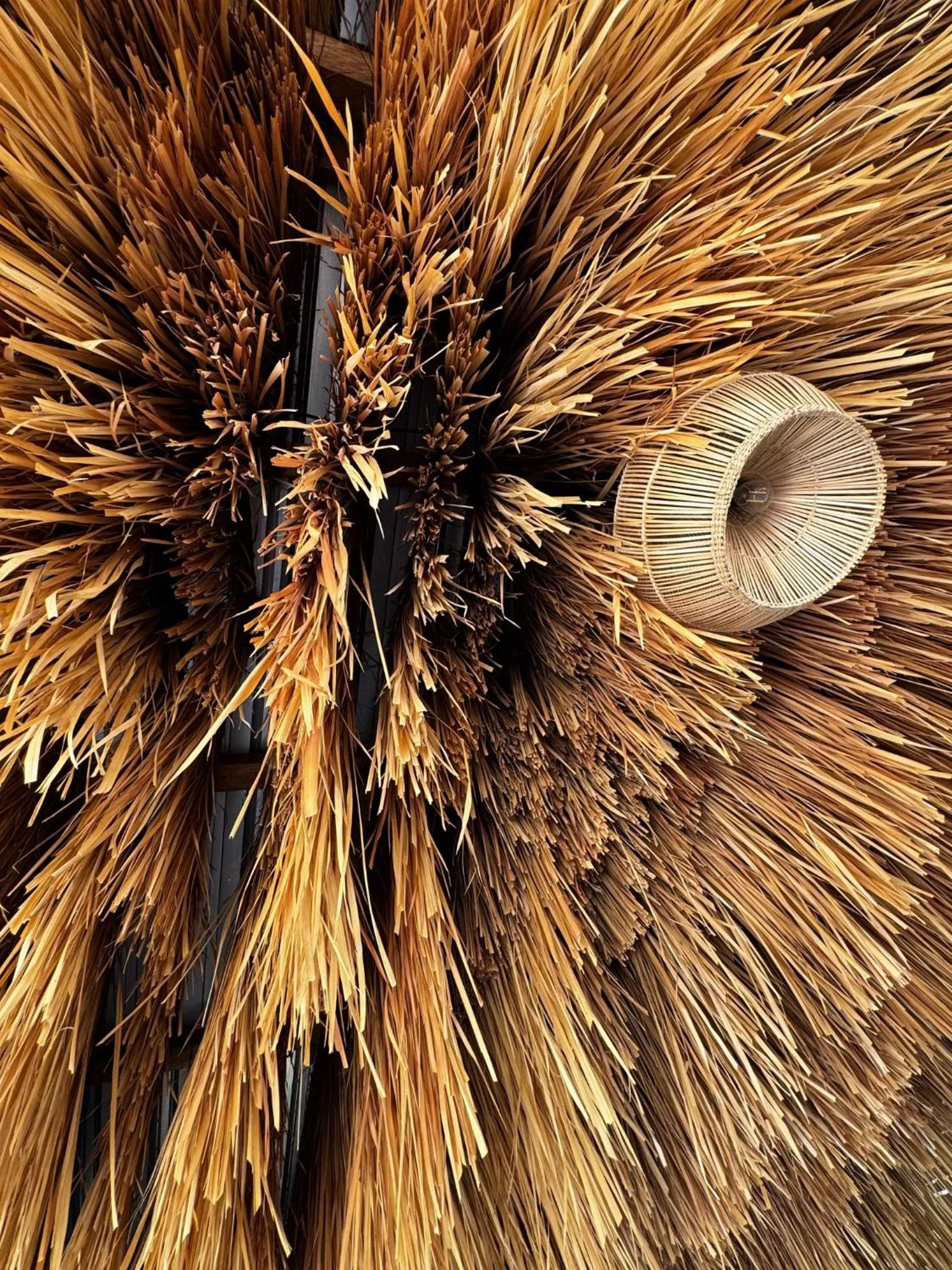 Day in Palmhouse Boutique Hotel