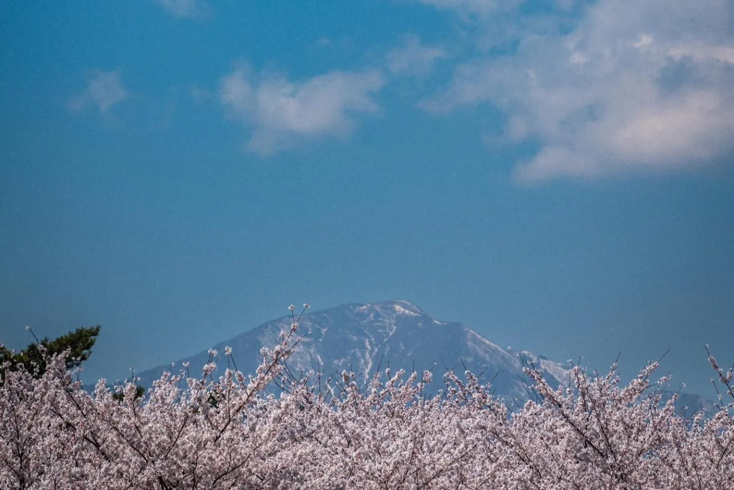Le Bleu Naksan by Orot