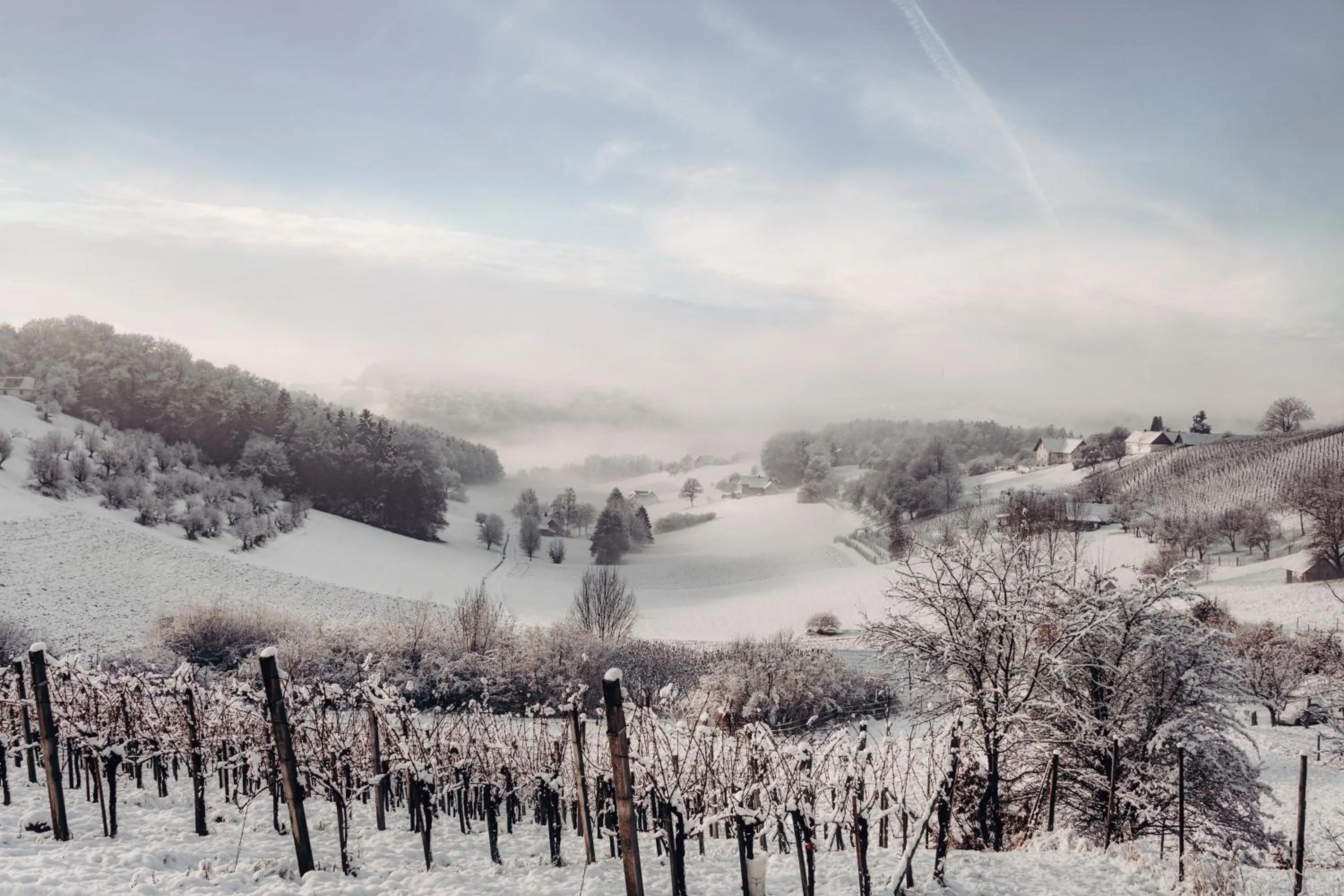 Natural landscape in Weingarten-Resort Unterlamm Loipersdorf - ADULTS ONLY