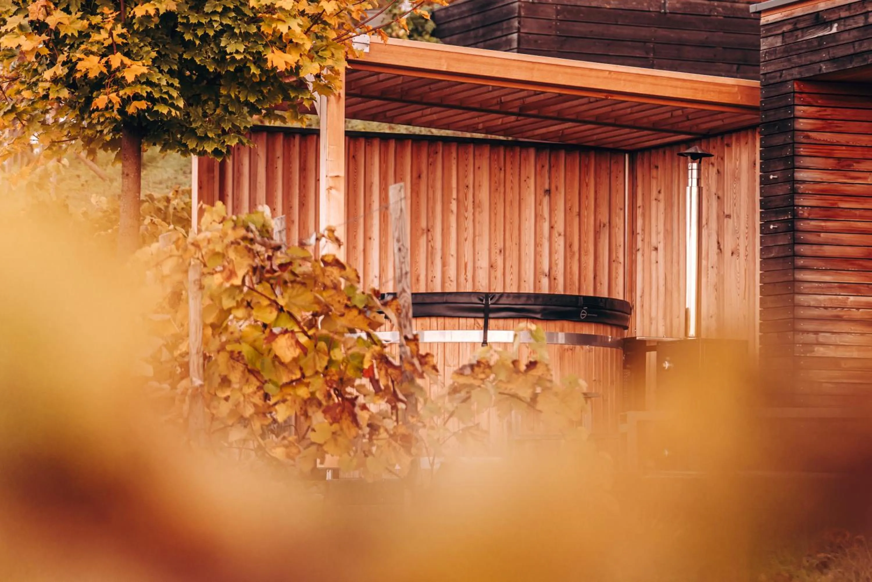 Balcony/Terrace in Weingarten-Resort Unterlamm Loipersdorf - ADULTS ONLY