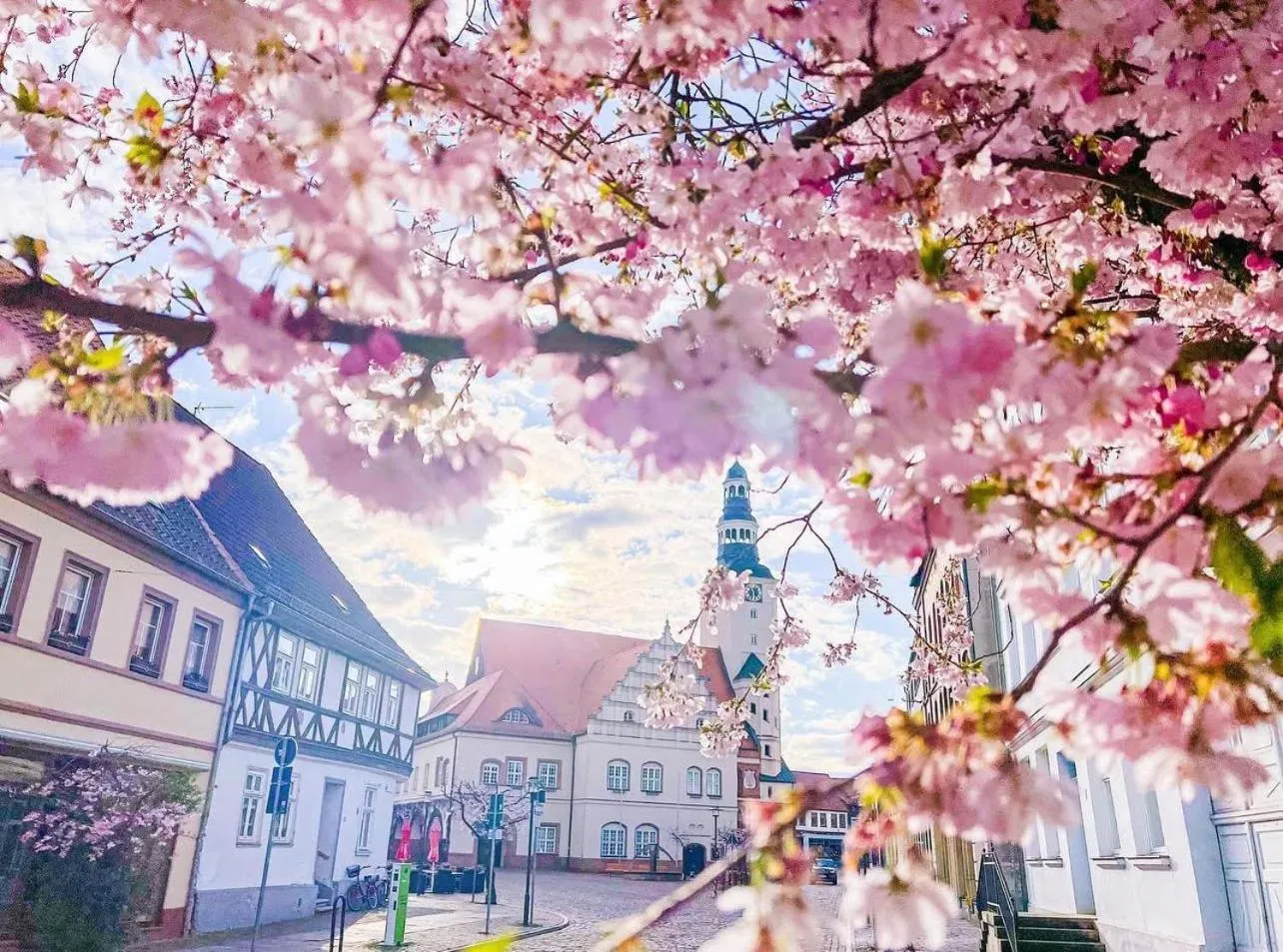 Property building in Hotel Doko Gardelegen