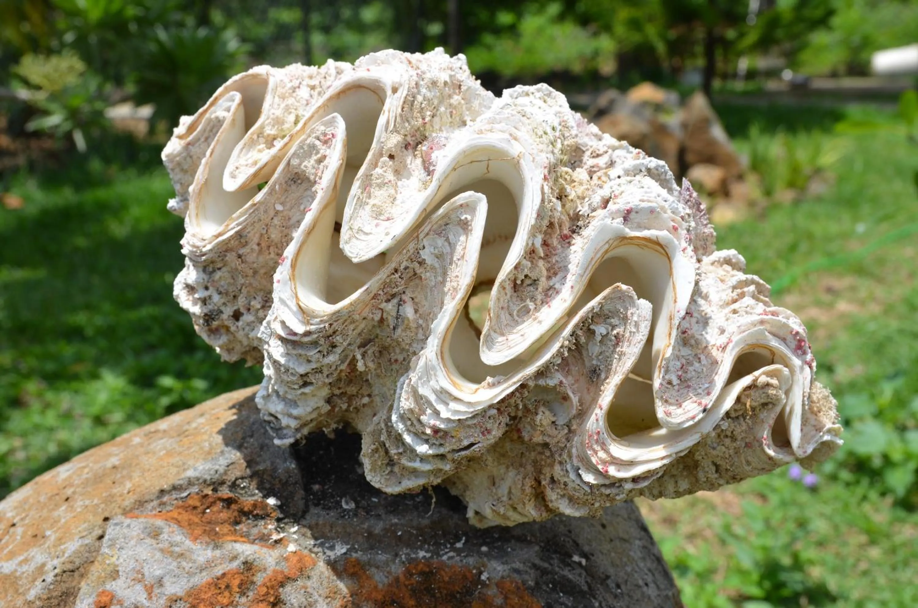 Decorative detail in La Maison Soleil