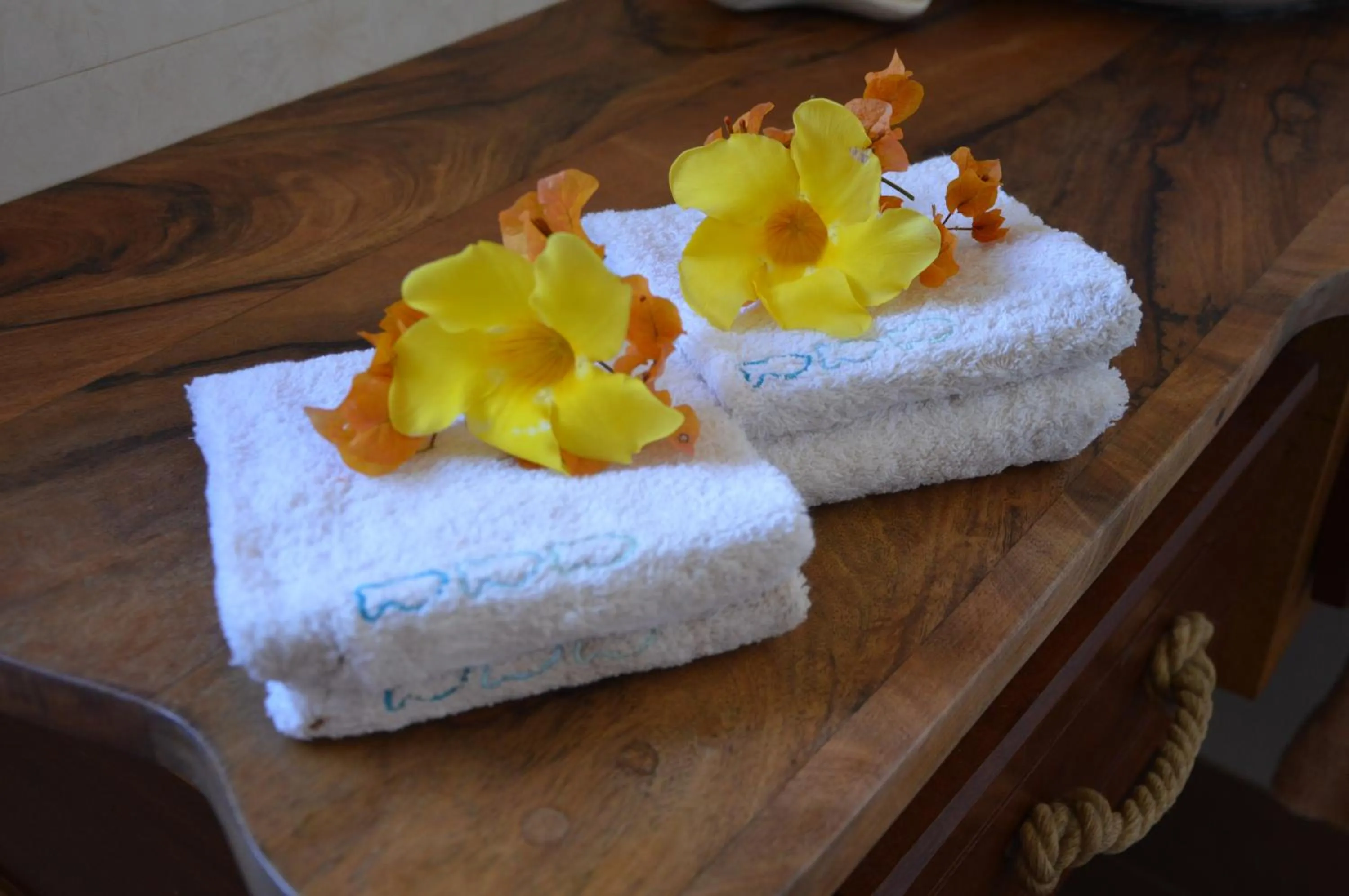 Decorative detail in La Maison Soleil