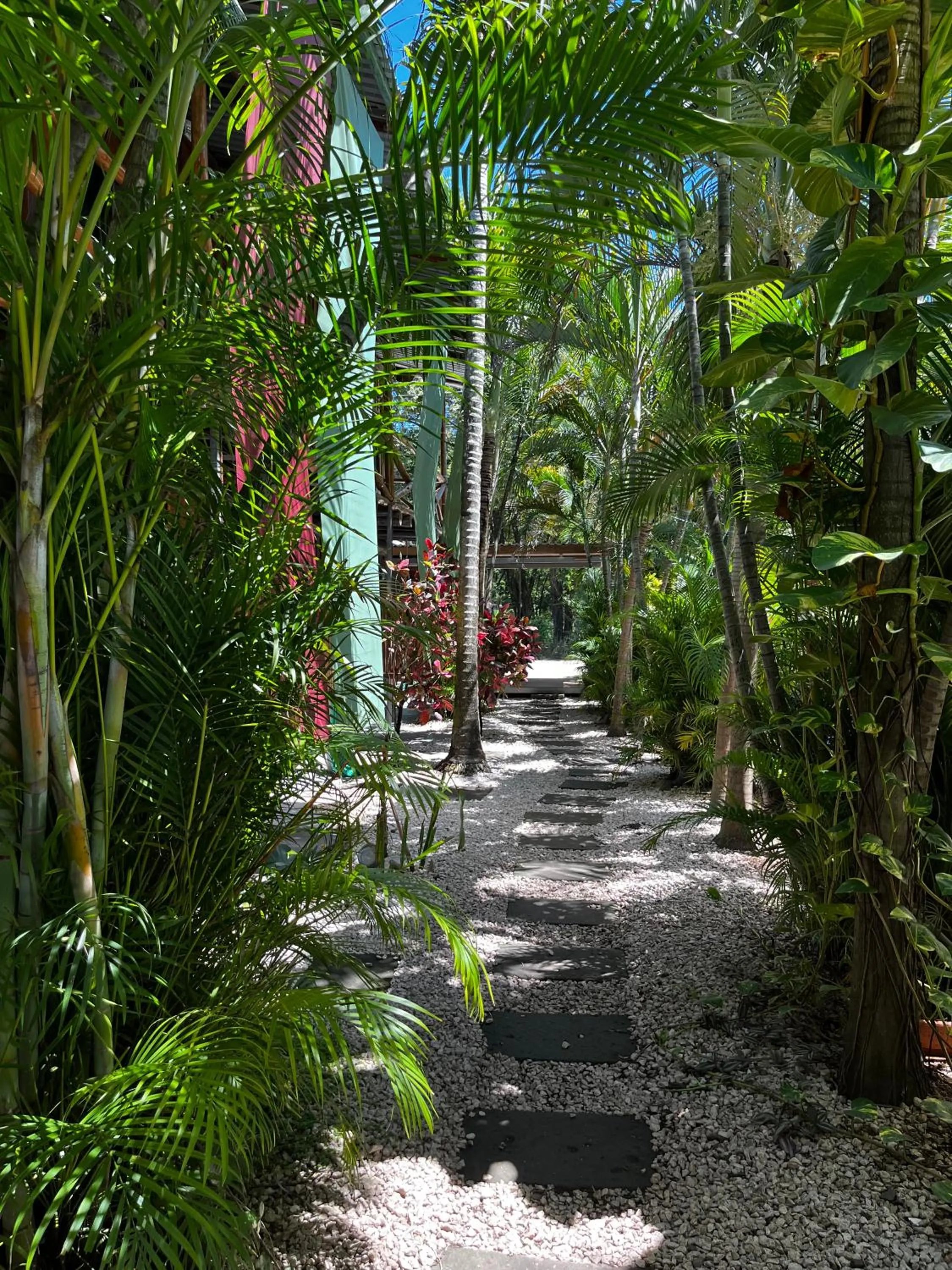 Street view in El Reinas by Sugar's Monkey