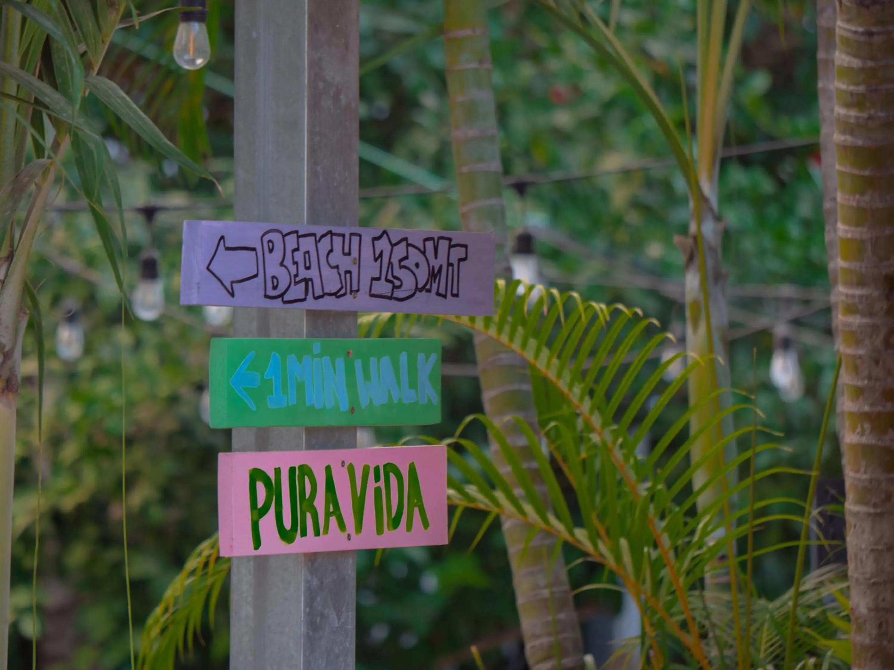Beach in El Reinas by Sugar's Monkey