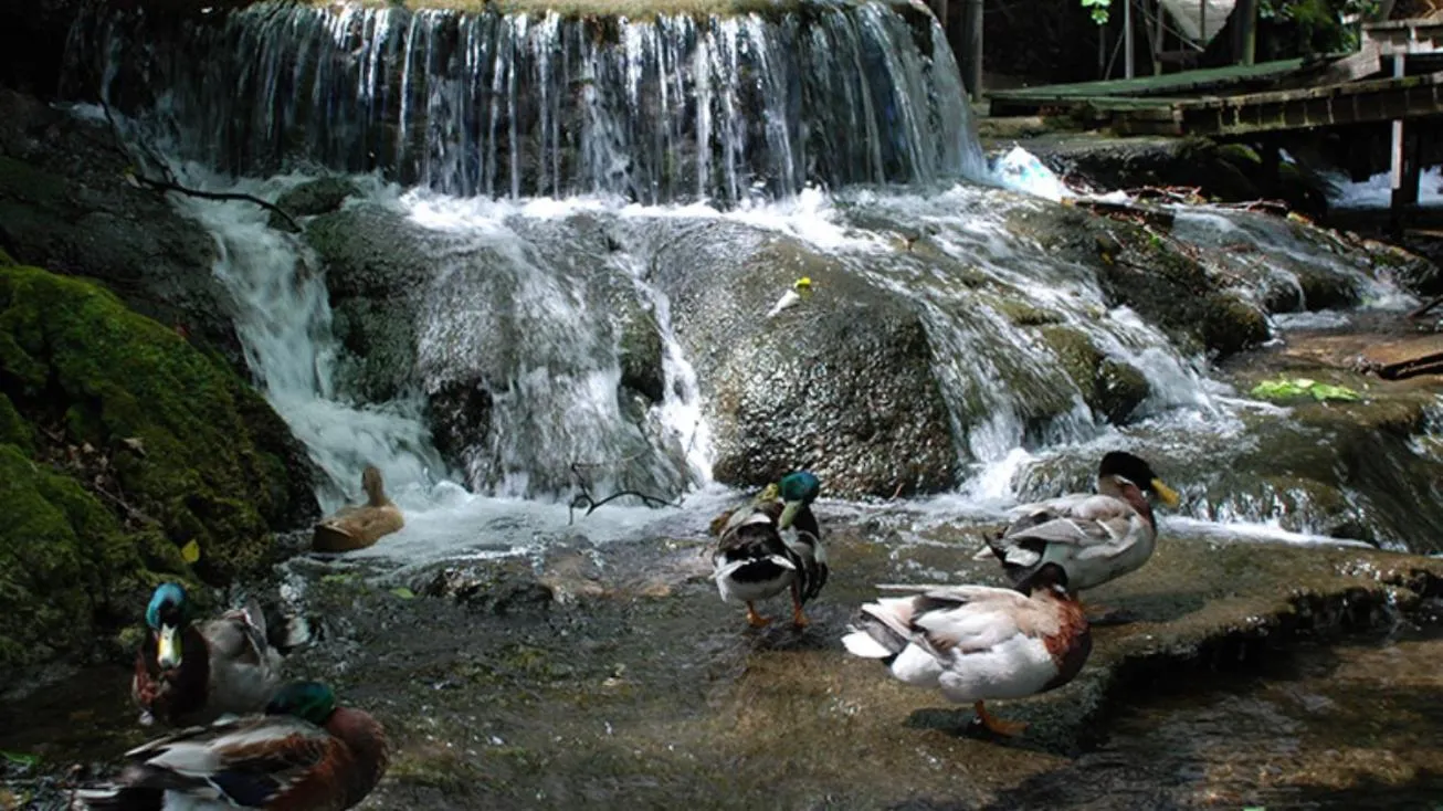 Off site in Selale Cennet Evleri