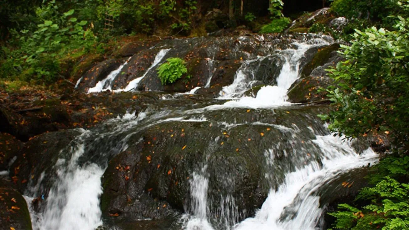 Off site in Selale Cennet Evleri