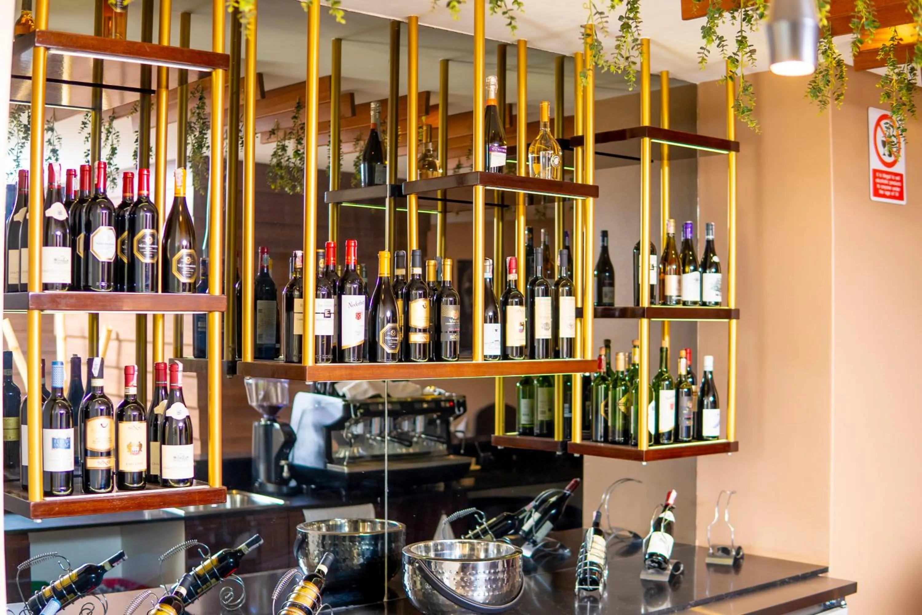 Lounge or bar in Africa's Touch & Leisure