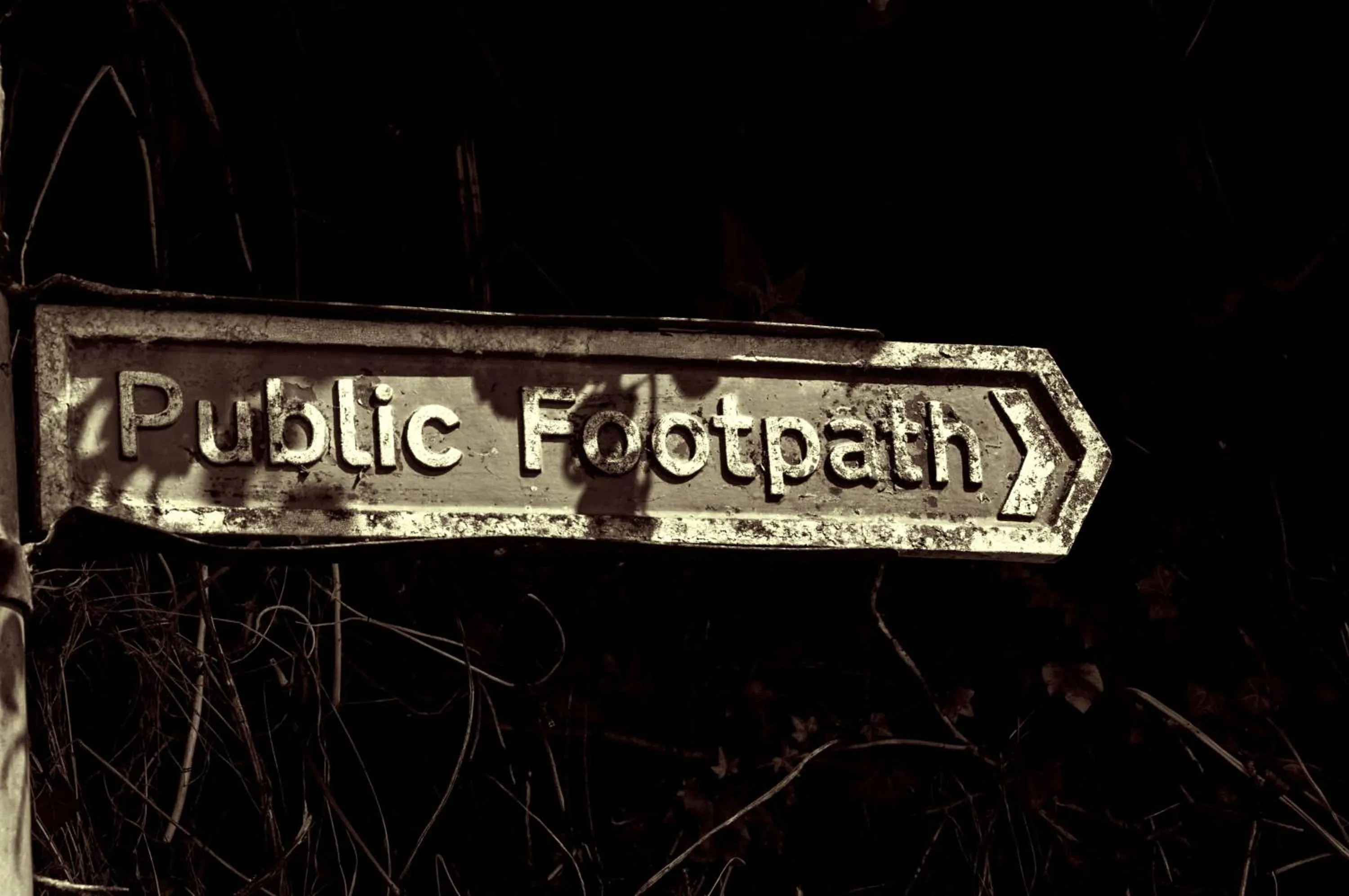 Activities in Tregondale Manor Farm