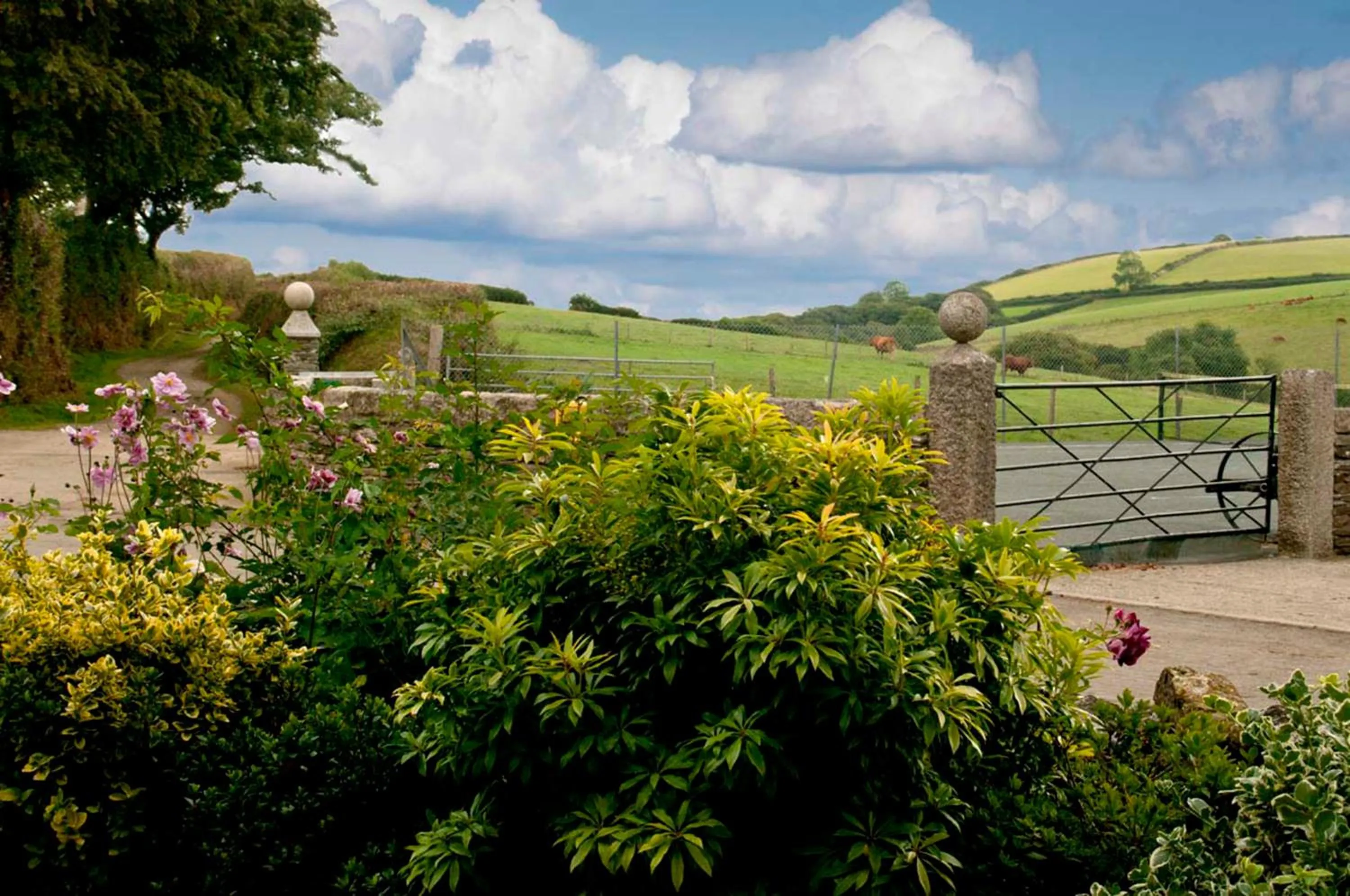 Natural landscape in Tregondale Manor Farm