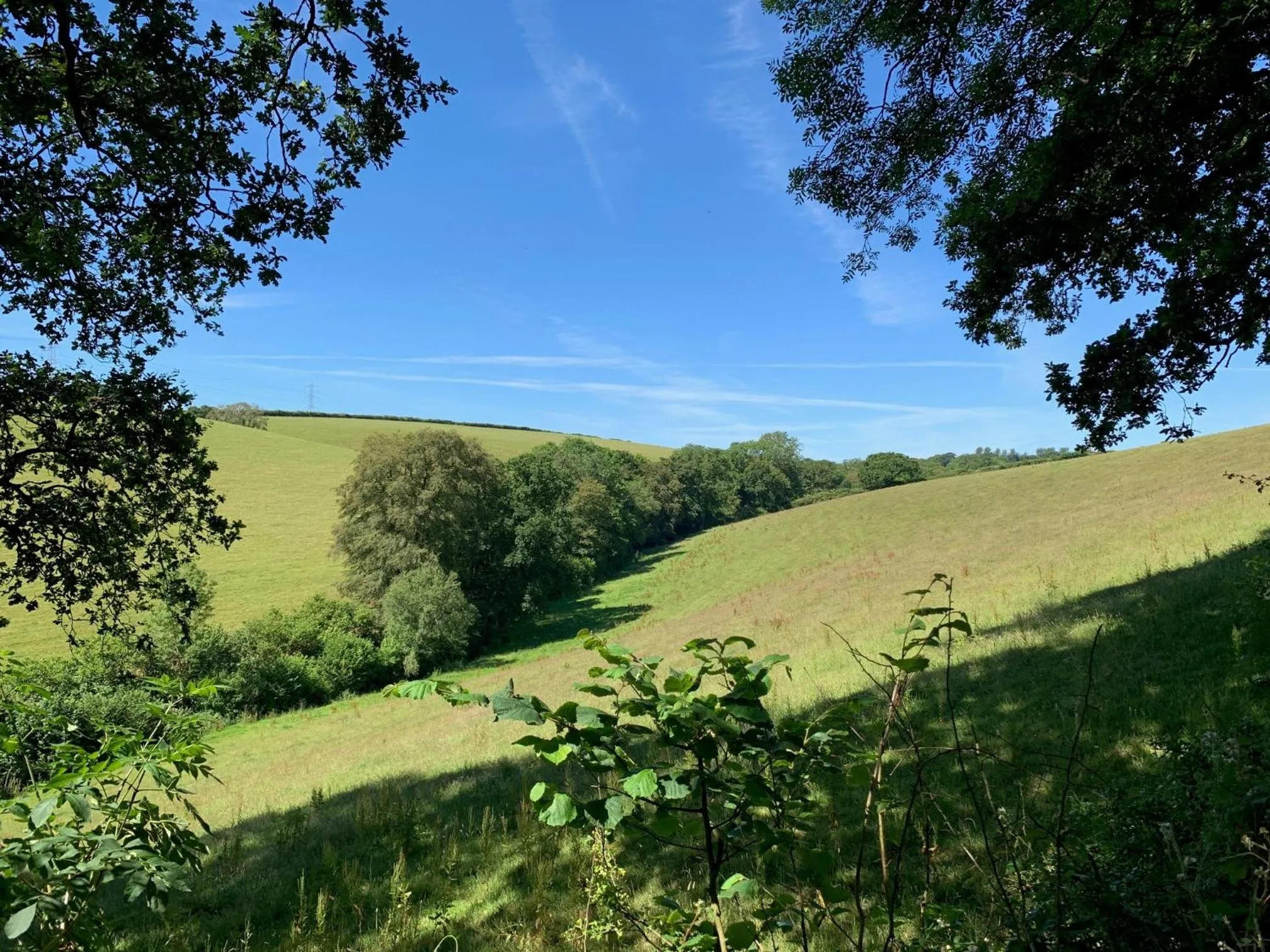 Tregondale Manor Farm