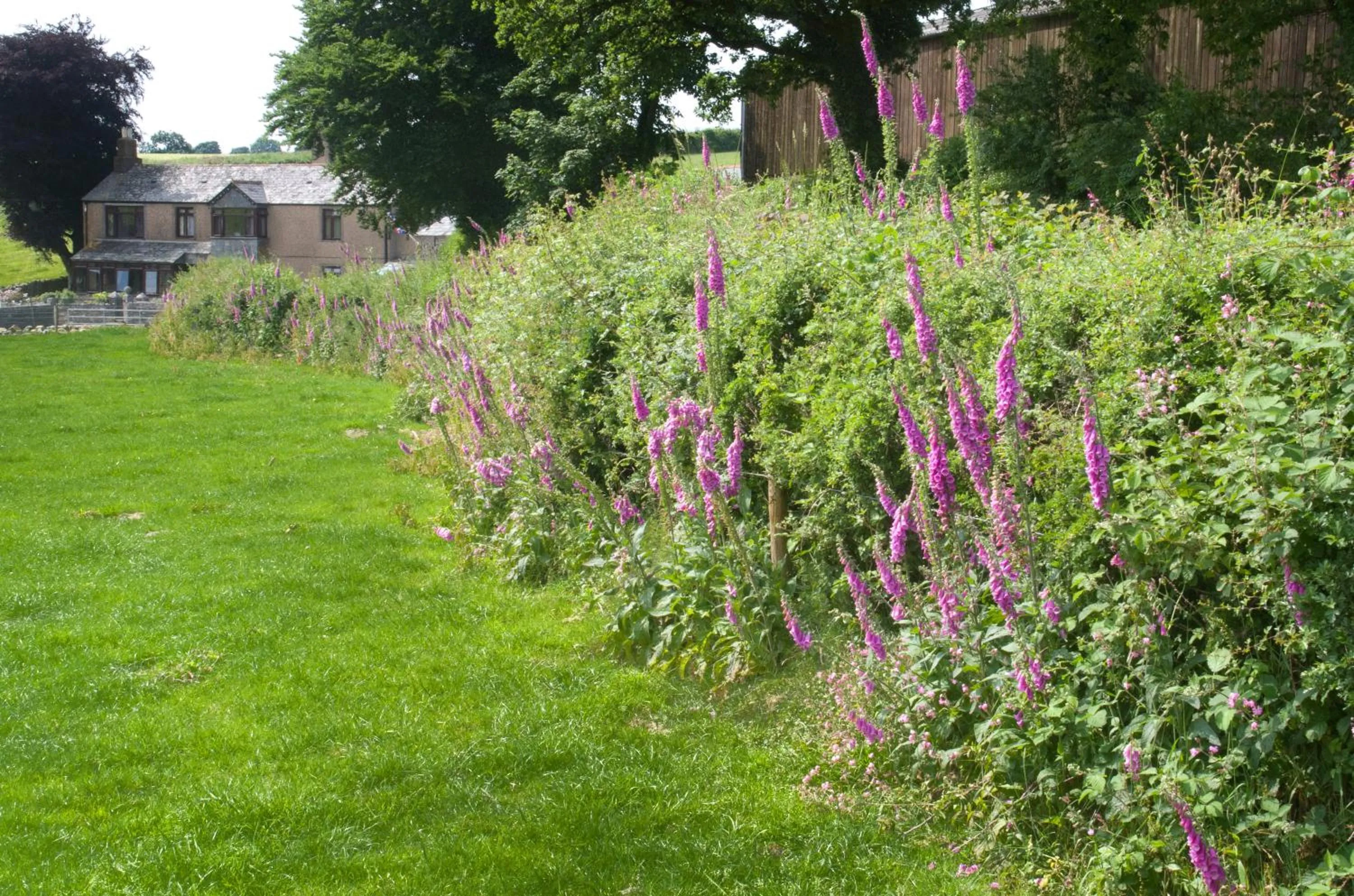 Day in Tregondale Manor Farm