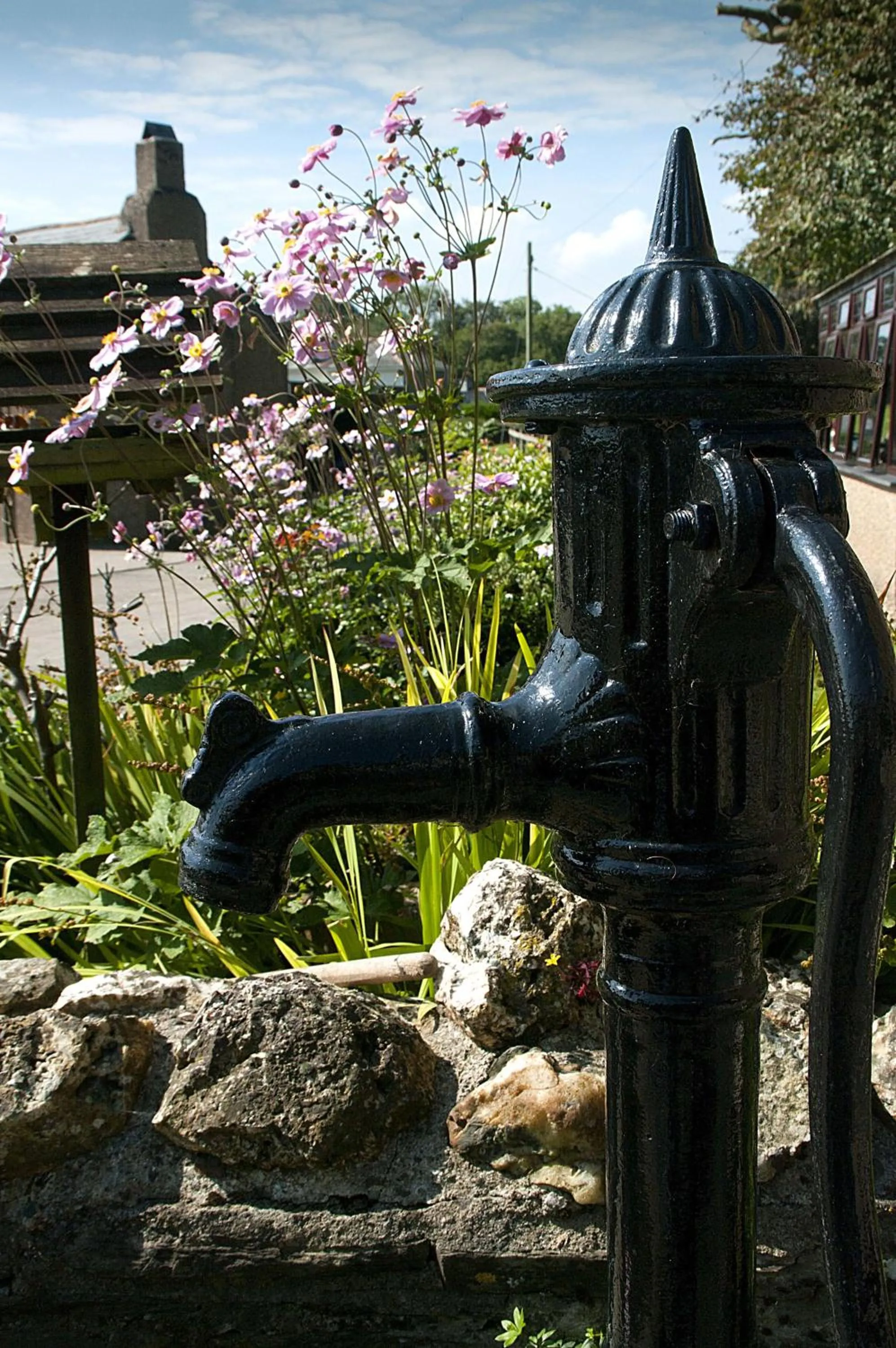 Garden in Tregondale Manor Farm