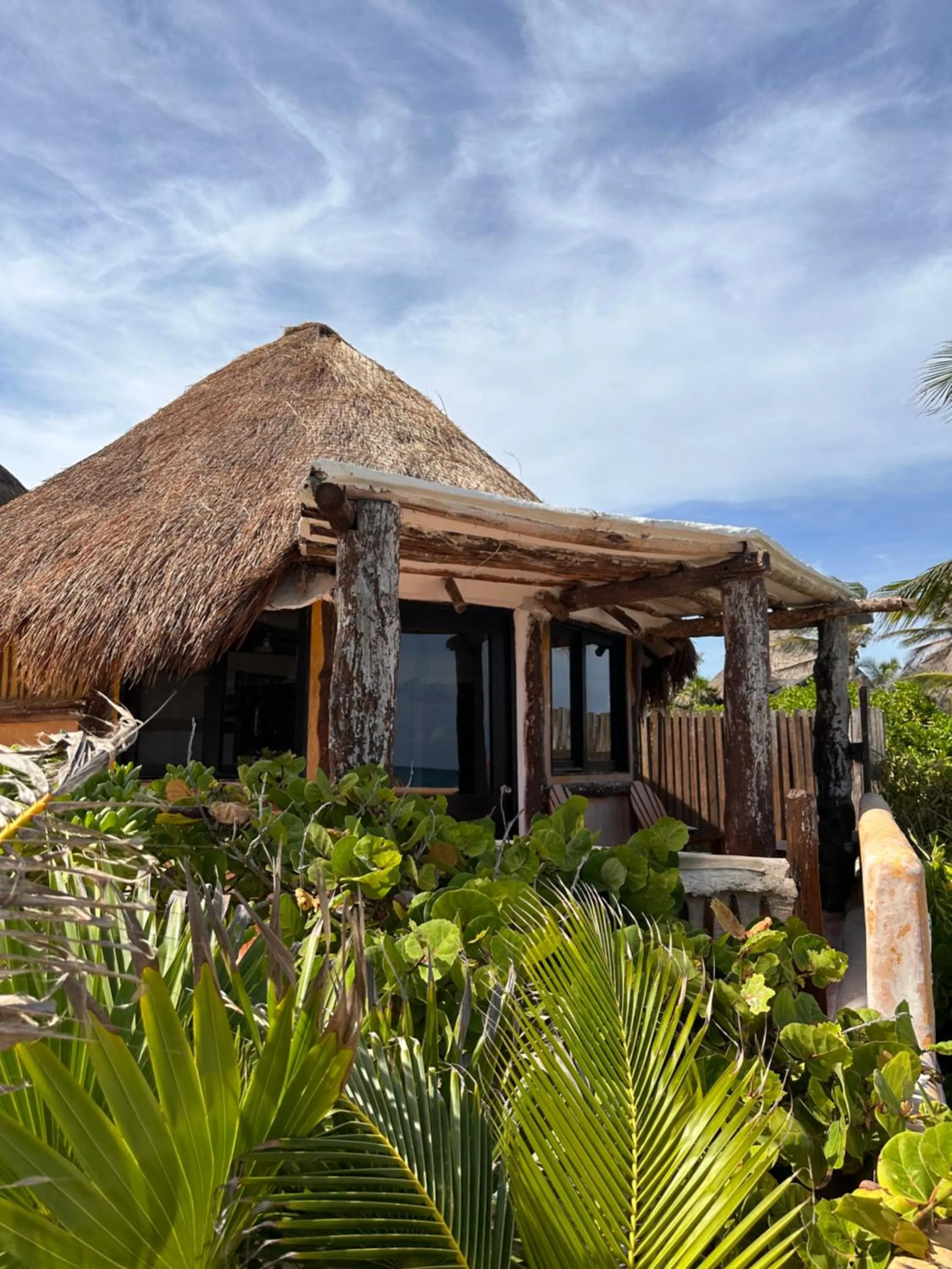 Property building in La Conchita Tulum