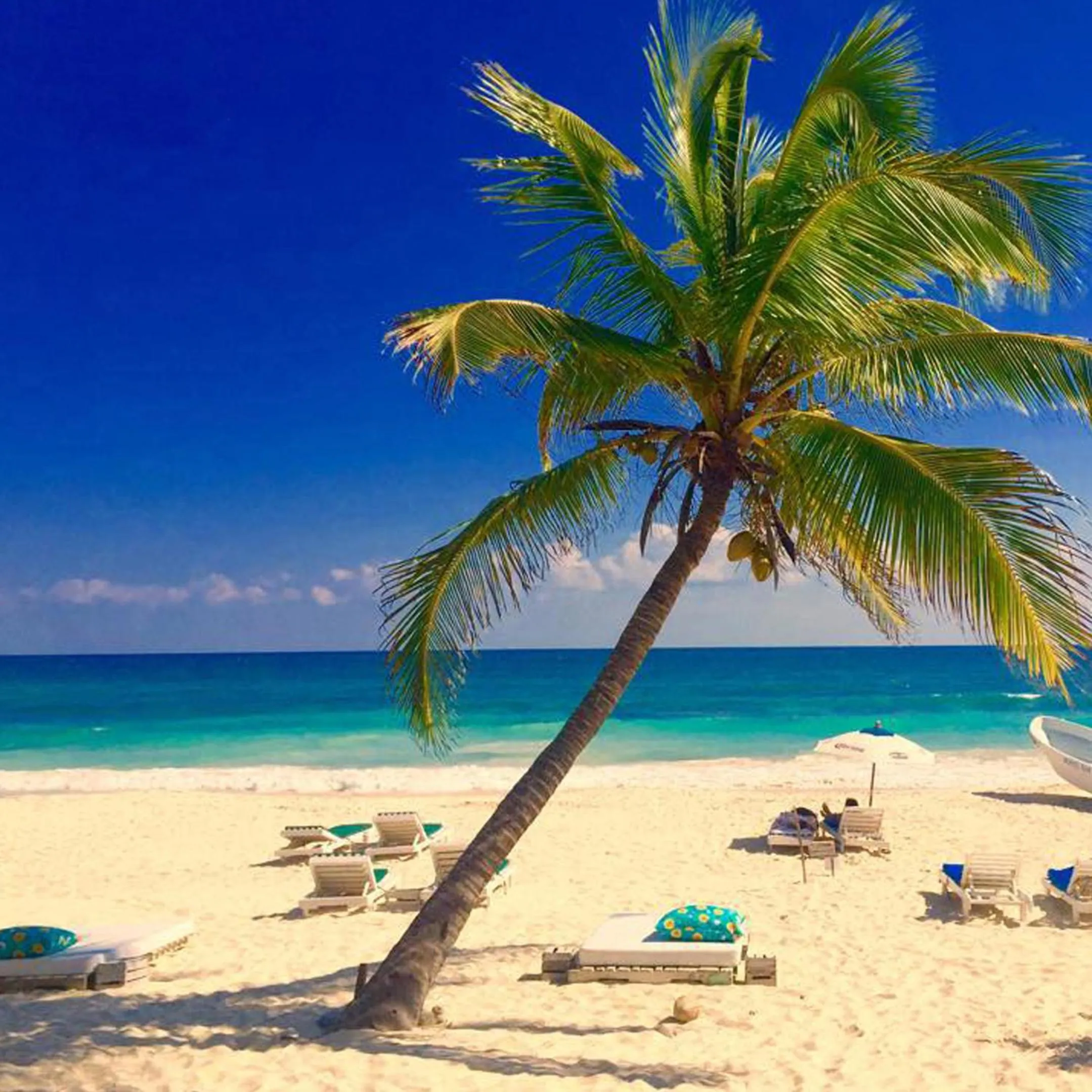 Natural landscape in La Conchita Tulum