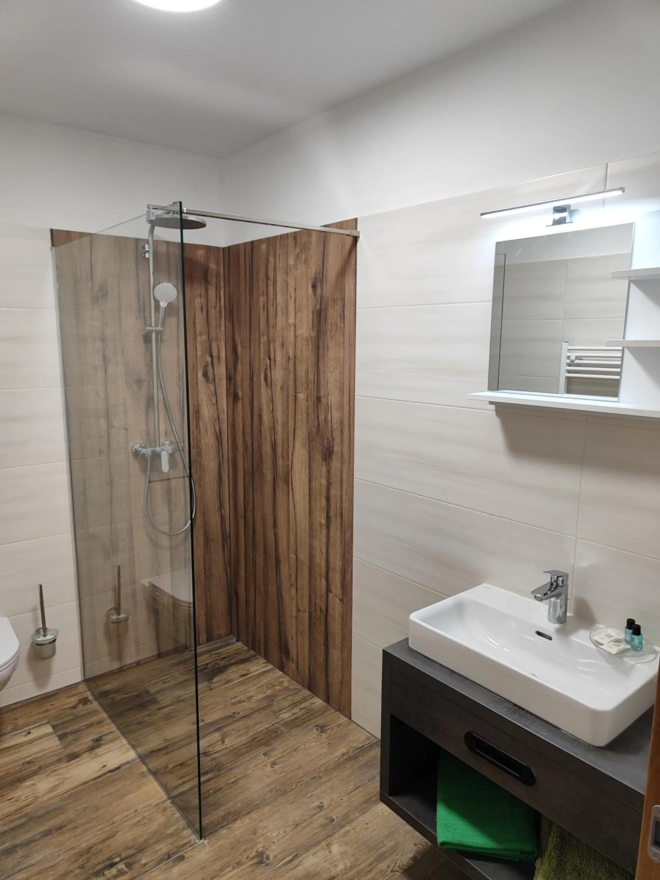 Shower in Hotel-Bad Goisern