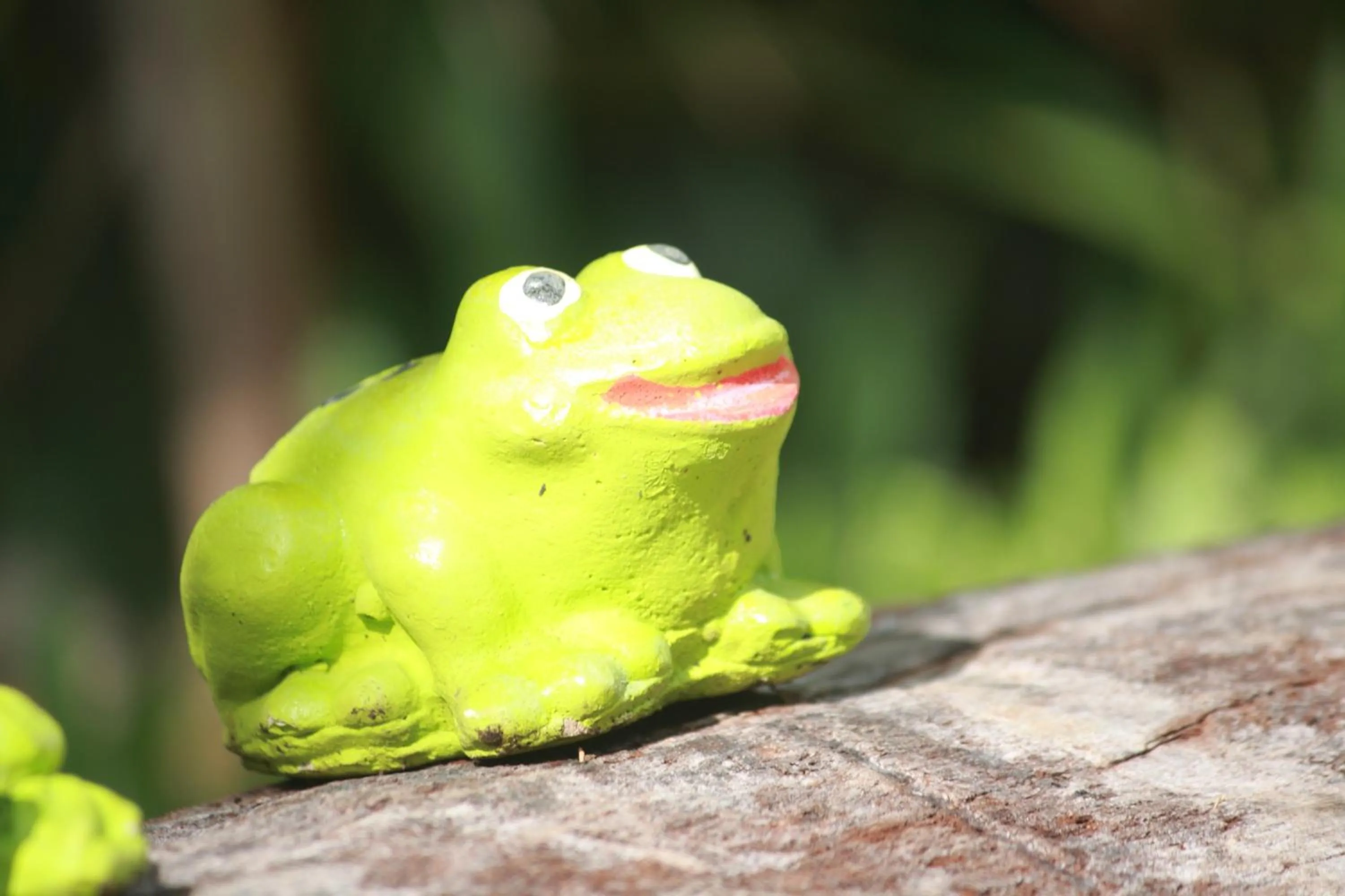 Area and facilities in Bida Daree Resort
