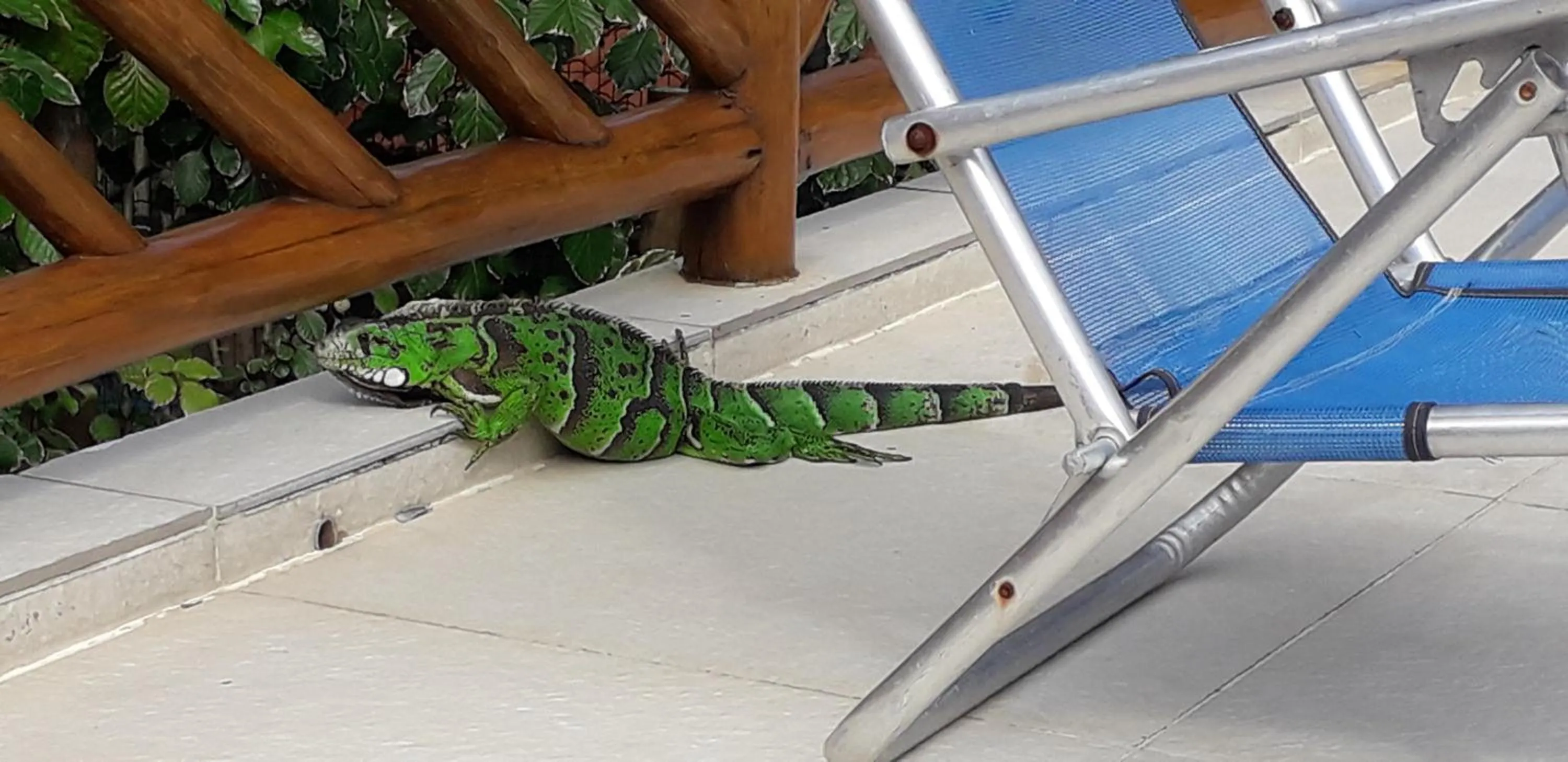 Pousada da Preguiça Praia do Forte