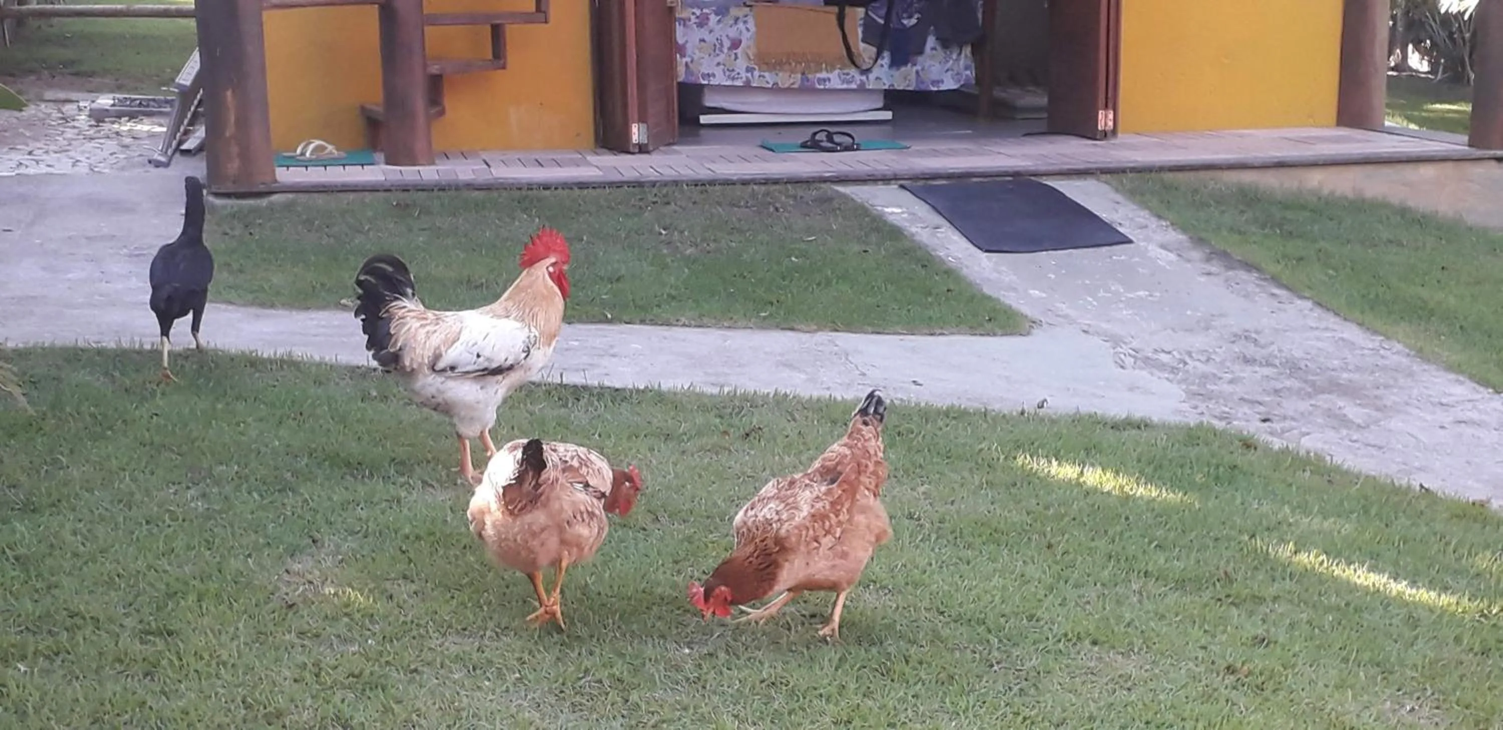 Pousada da Preguiça Praia do Forte