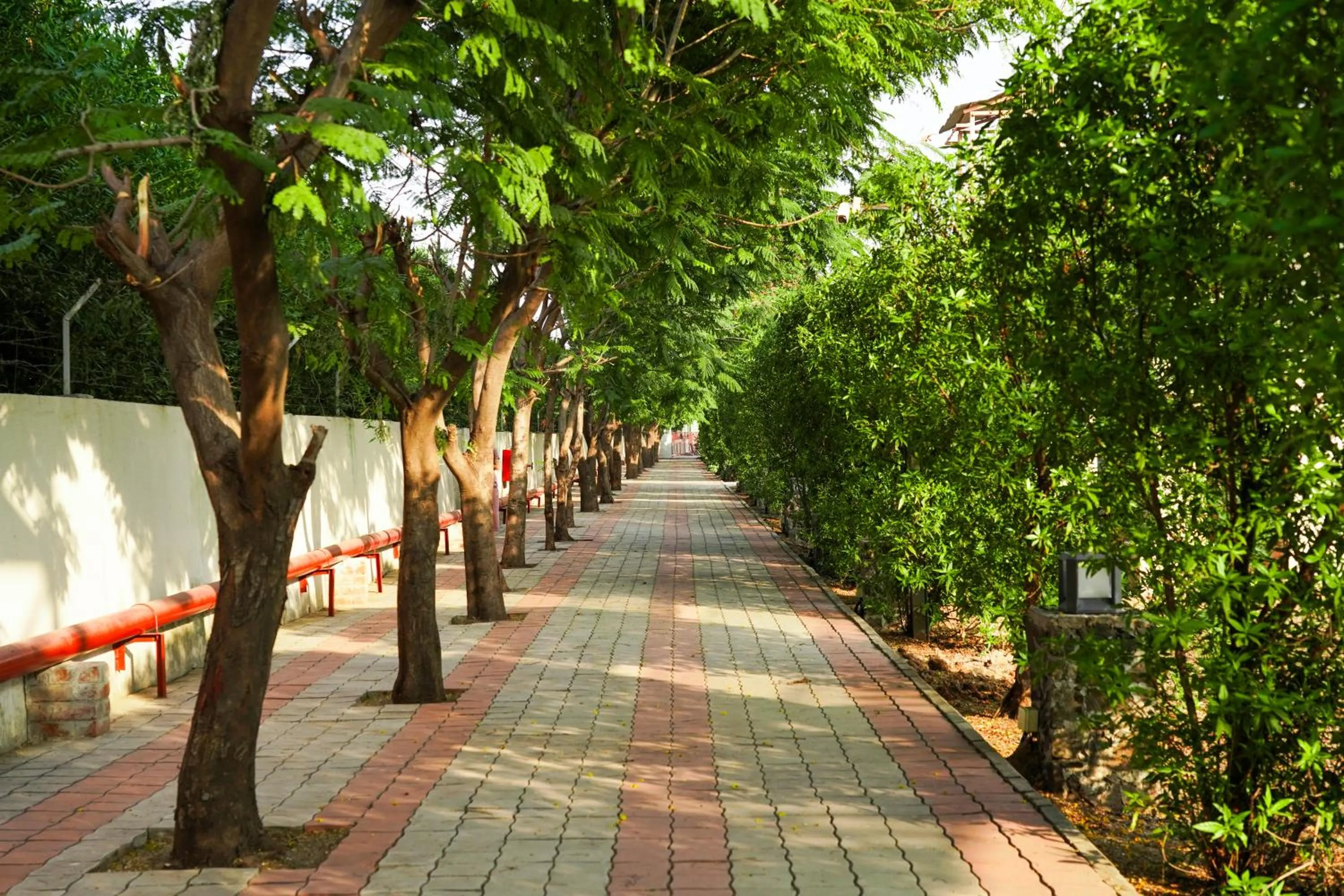 Garden in Club Mahindra Pavagadh
