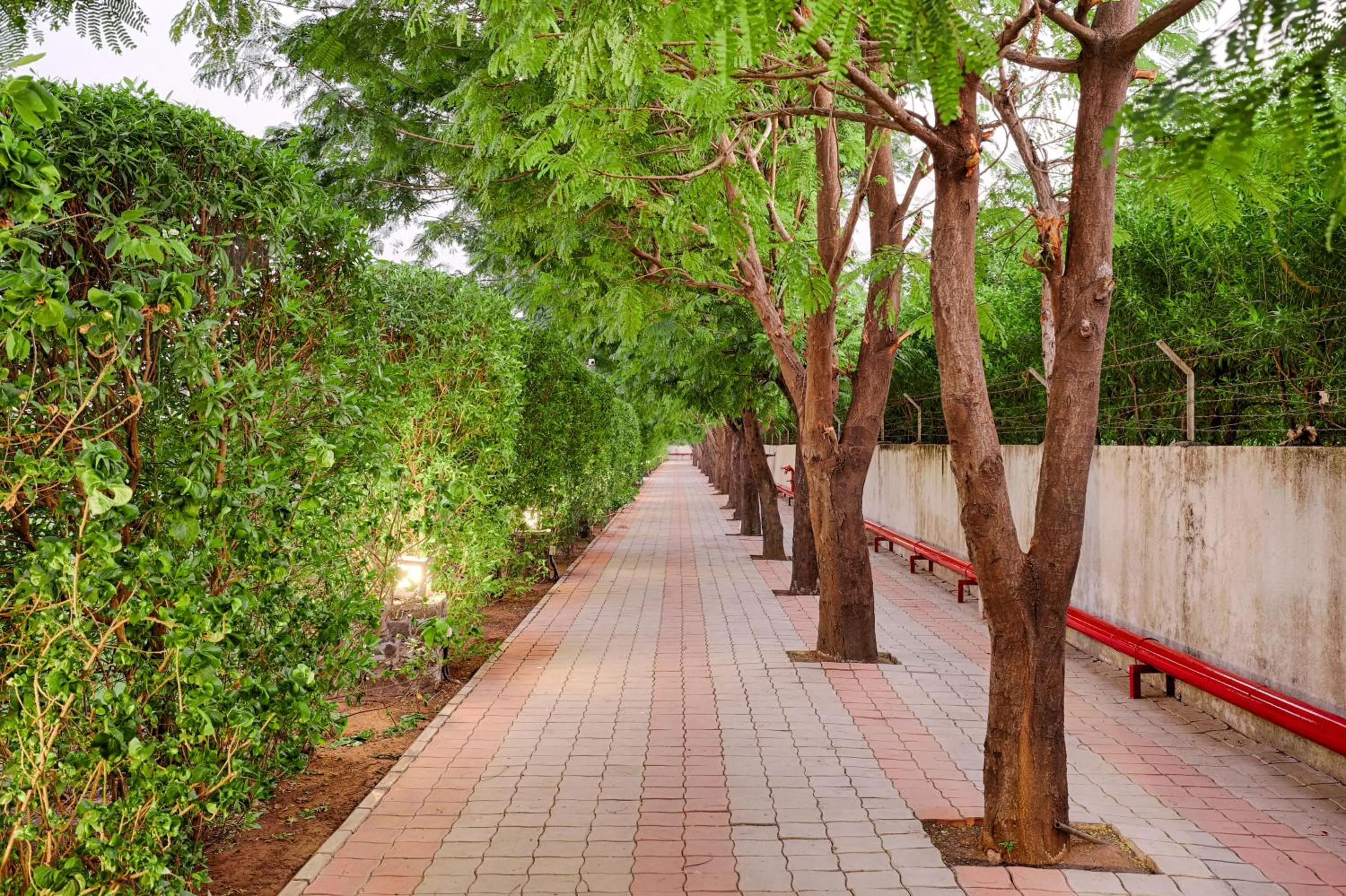 Garden in Club Mahindra Pavagadh
