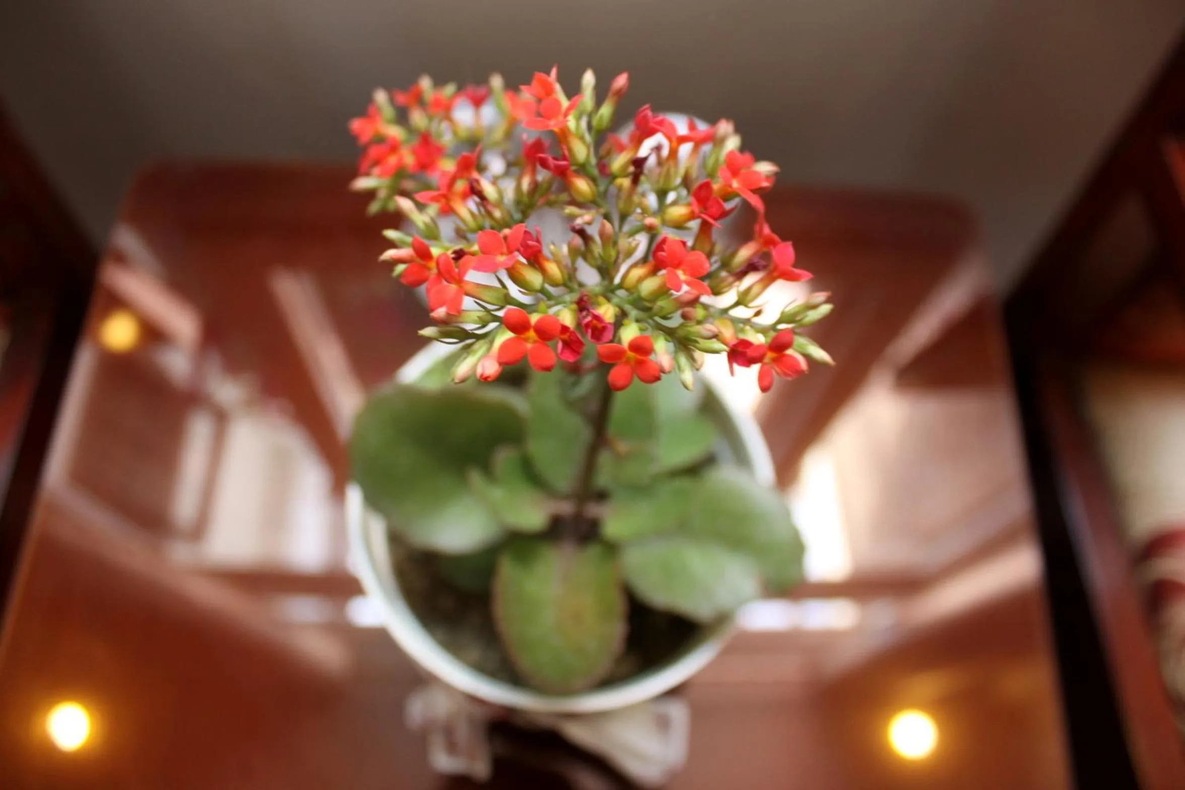 Decorative detail in Green CoCo HomeStay