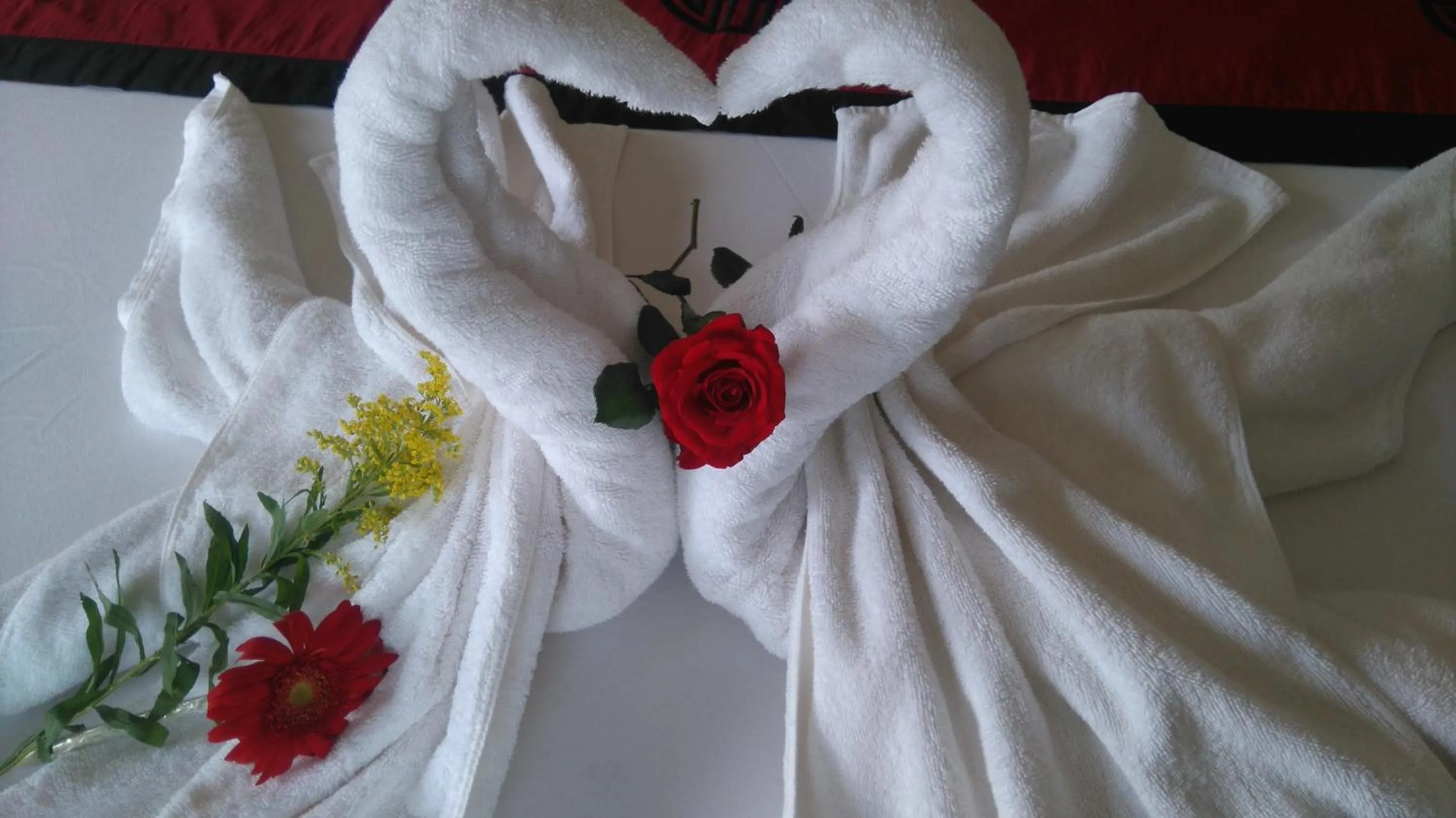 Decorative detail in Green CoCo HomeStay