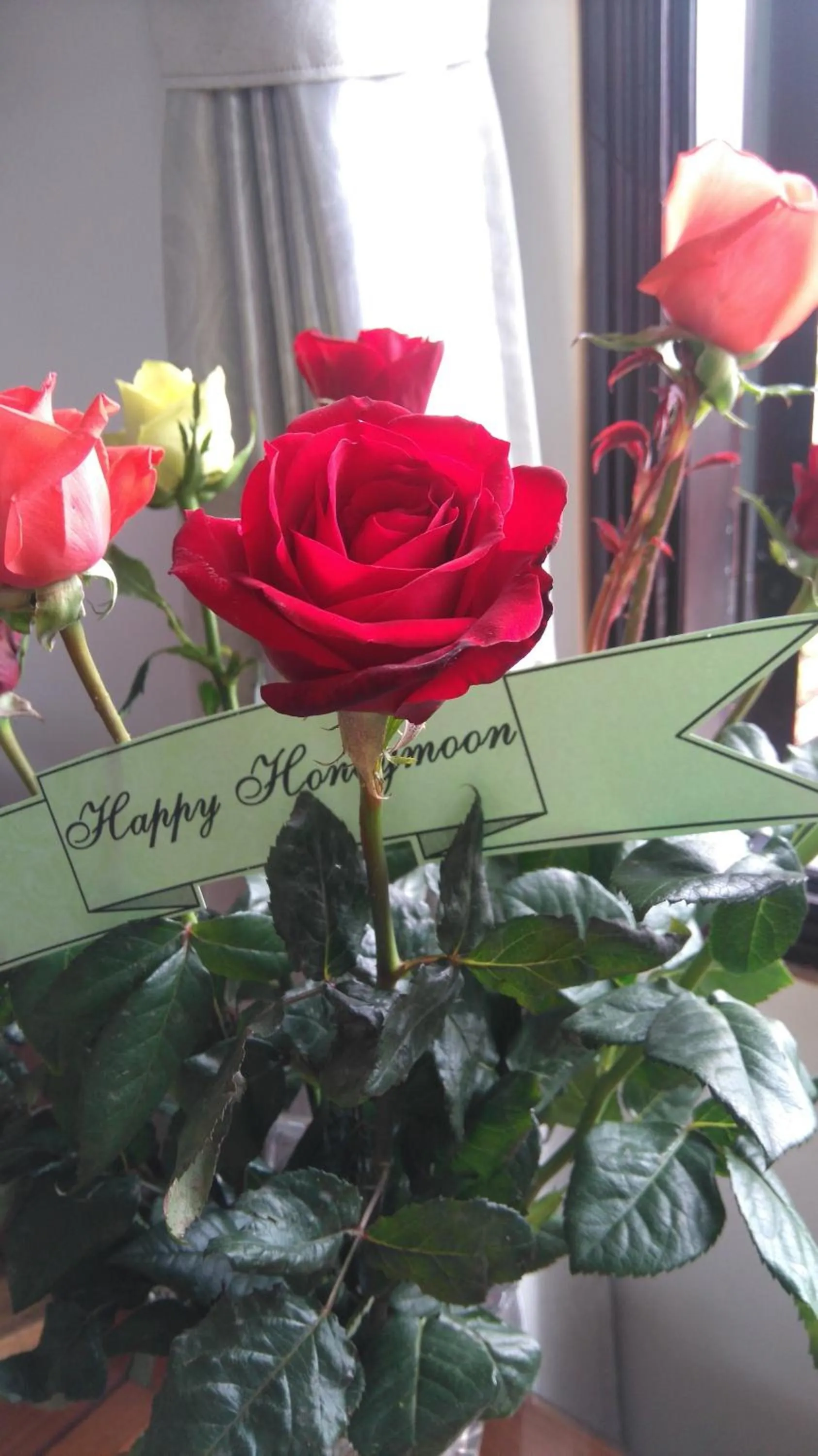 Decorative detail in Green CoCo HomeStay