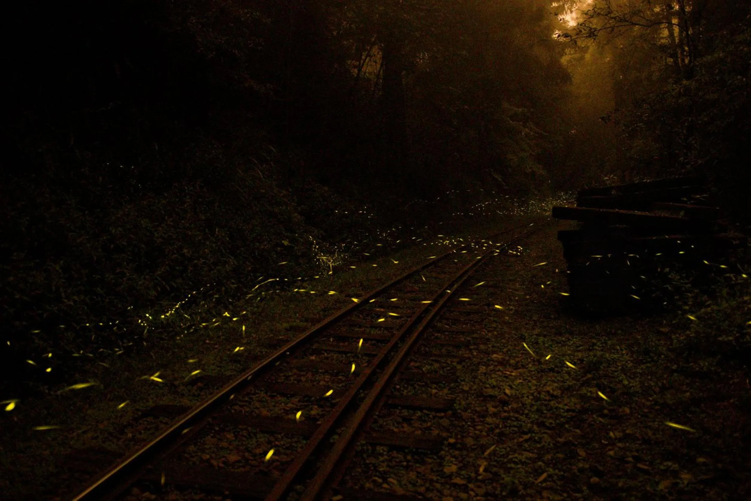 Natural landscape in Fenchihu Hotel