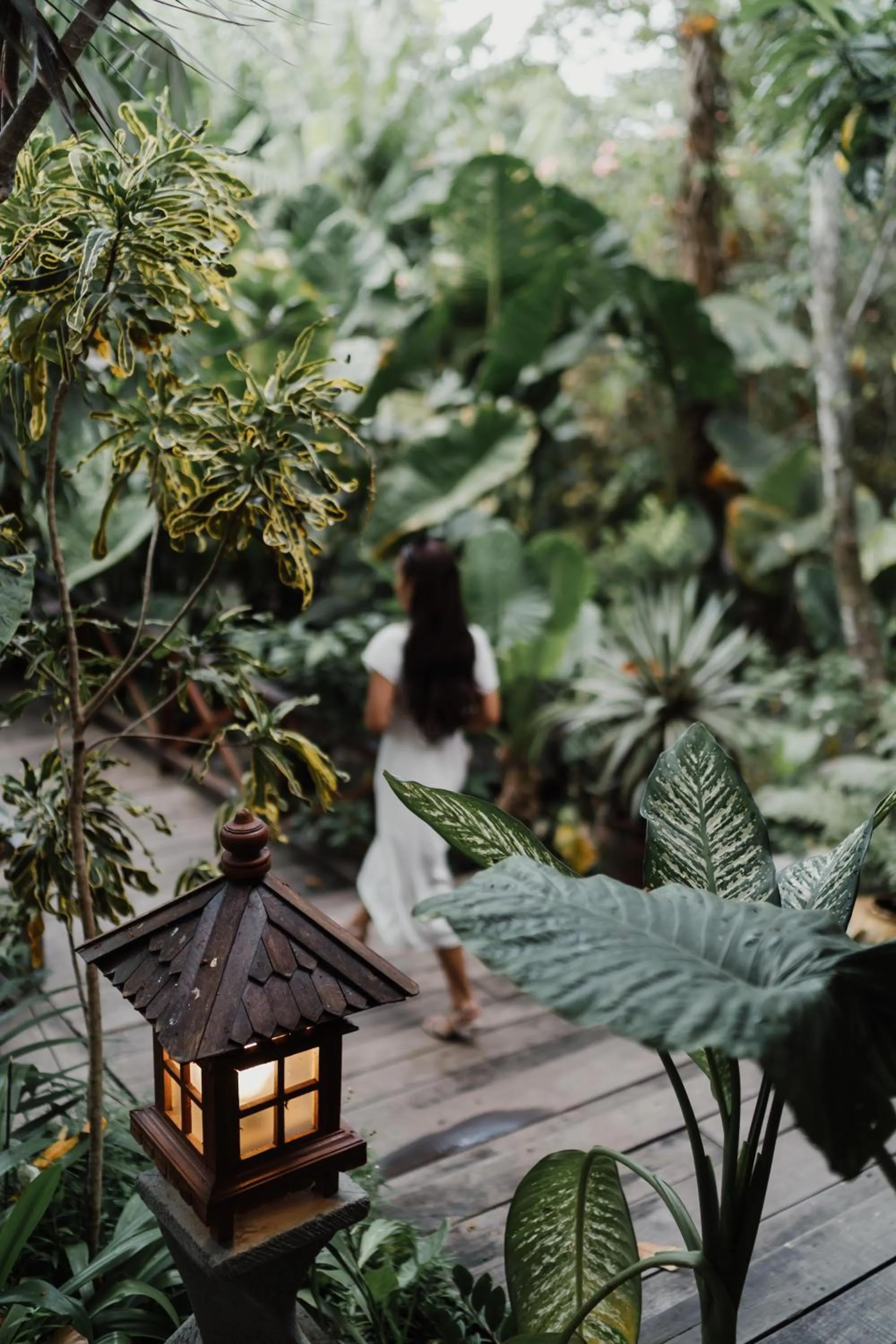 Garden in Kropak Canggu