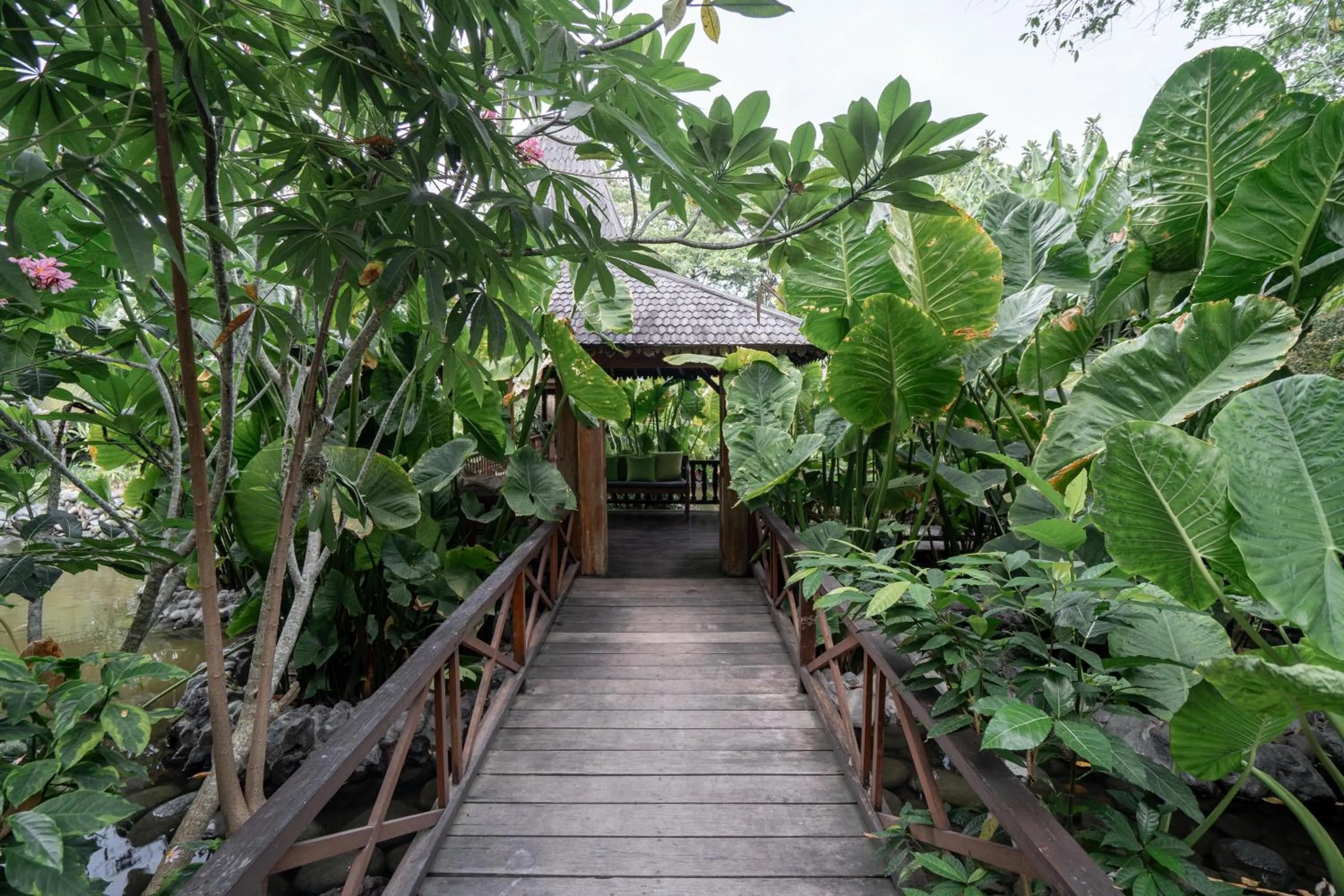 Garden in Kropak Canggu