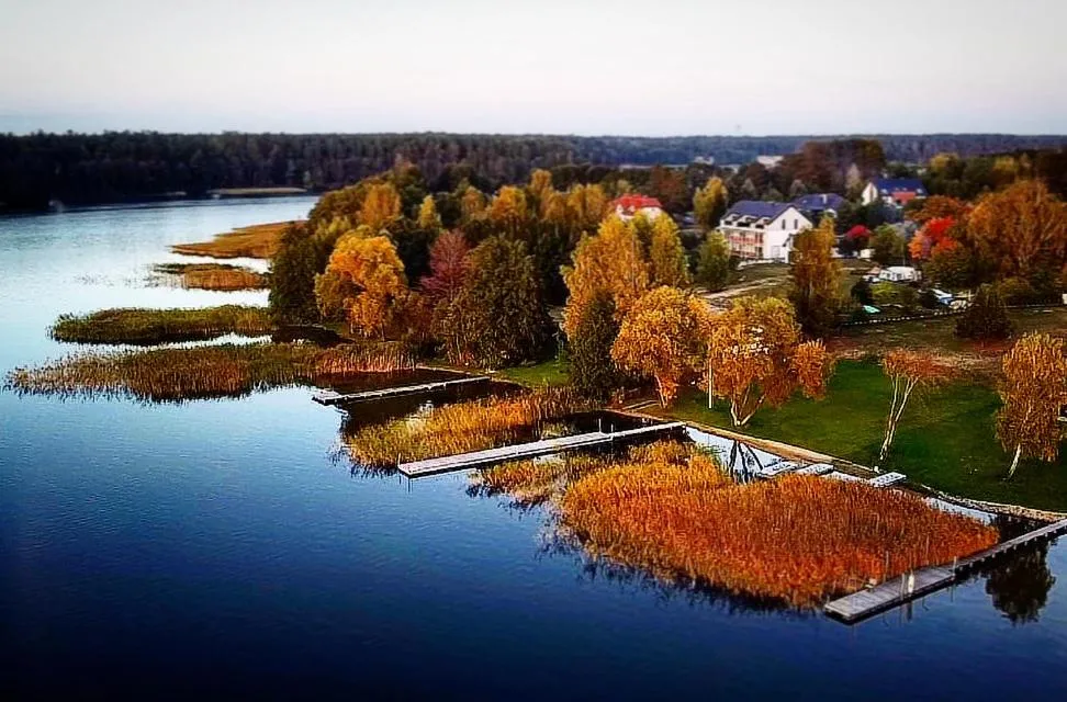 Natural landscape in Flauta Apartamenty Augustów nad Jeziorem Białym