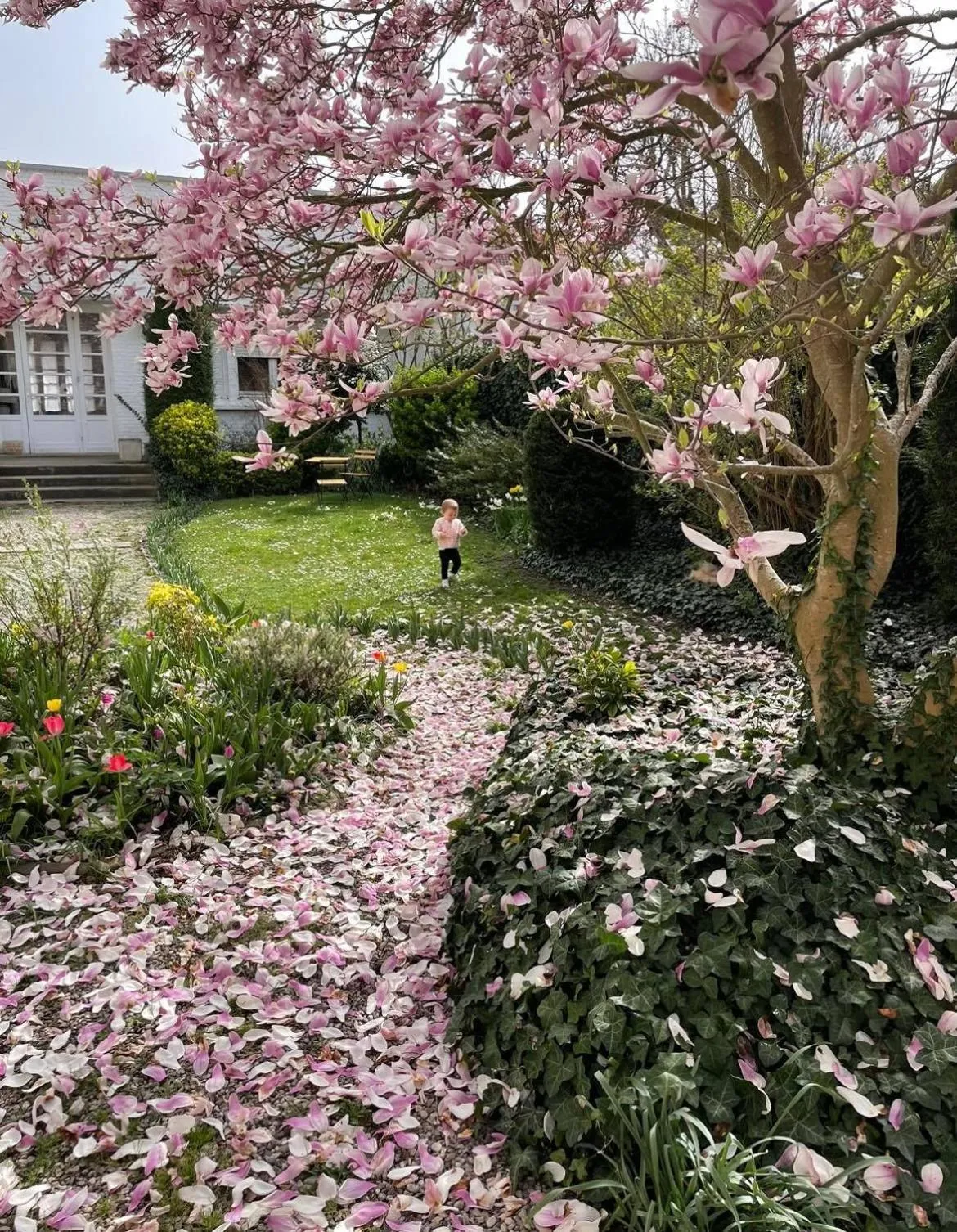 Garden in Hotel Joly