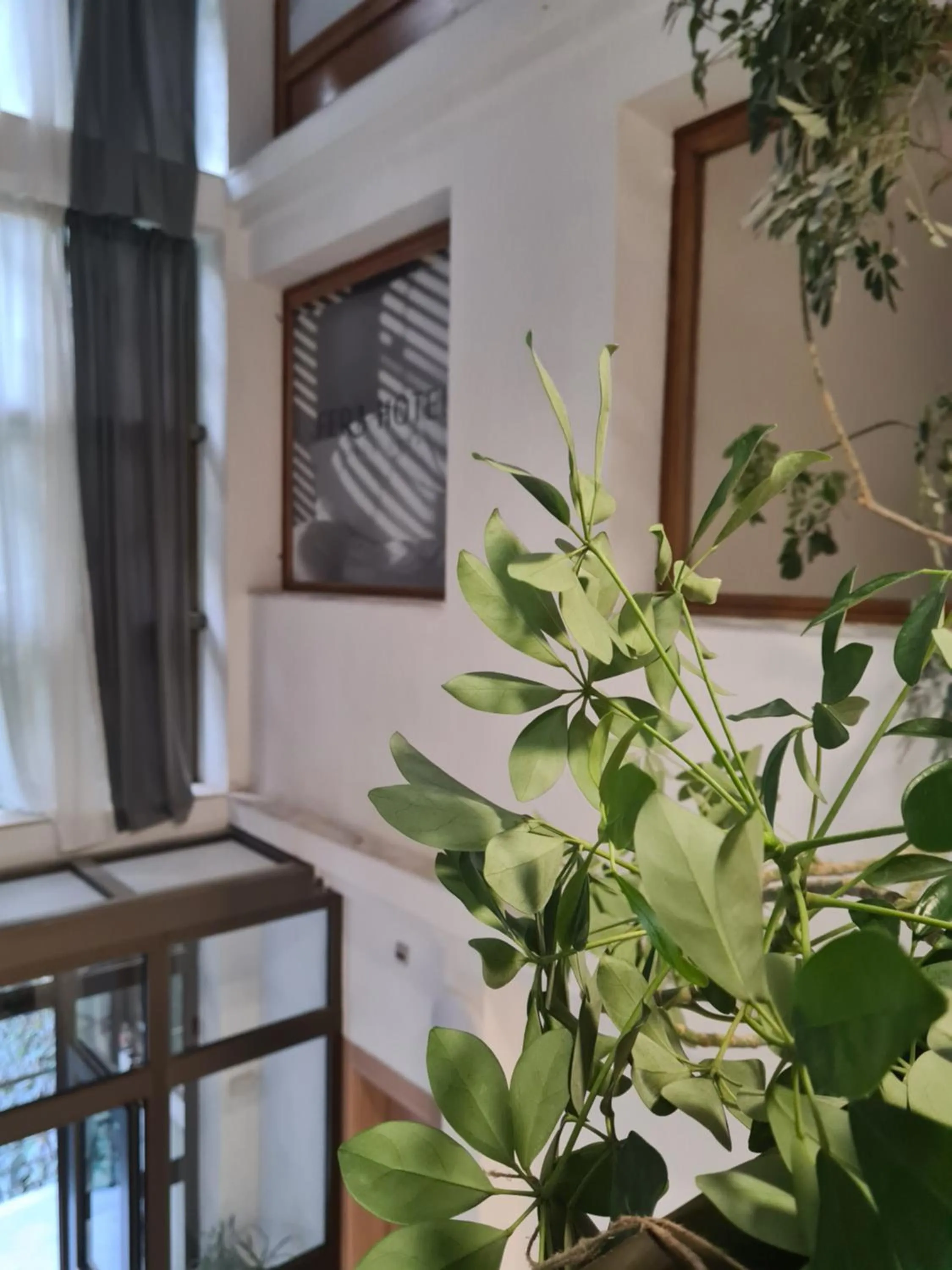 Decorative detail in Fera