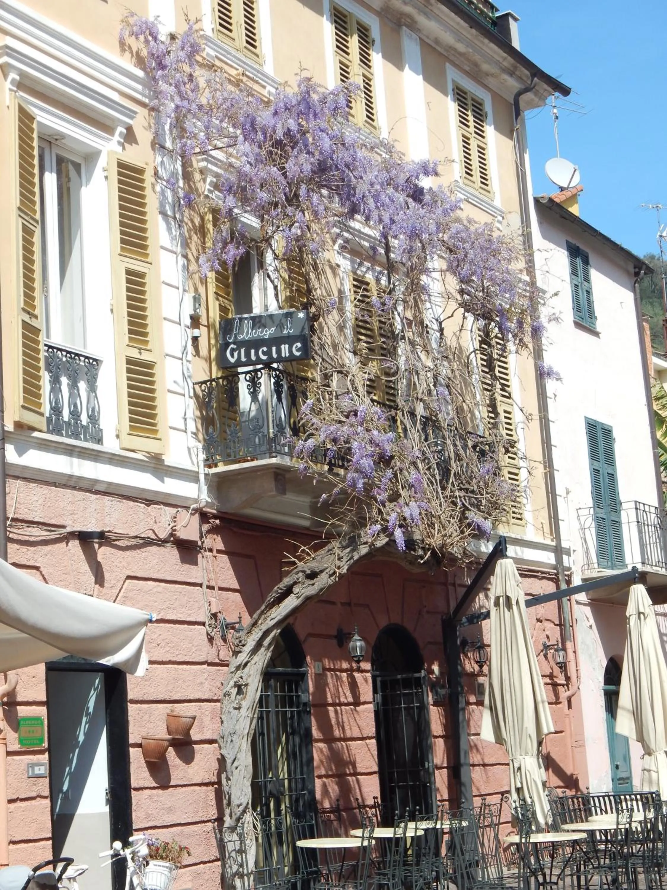 Facade/entrance in Hotel Glicine