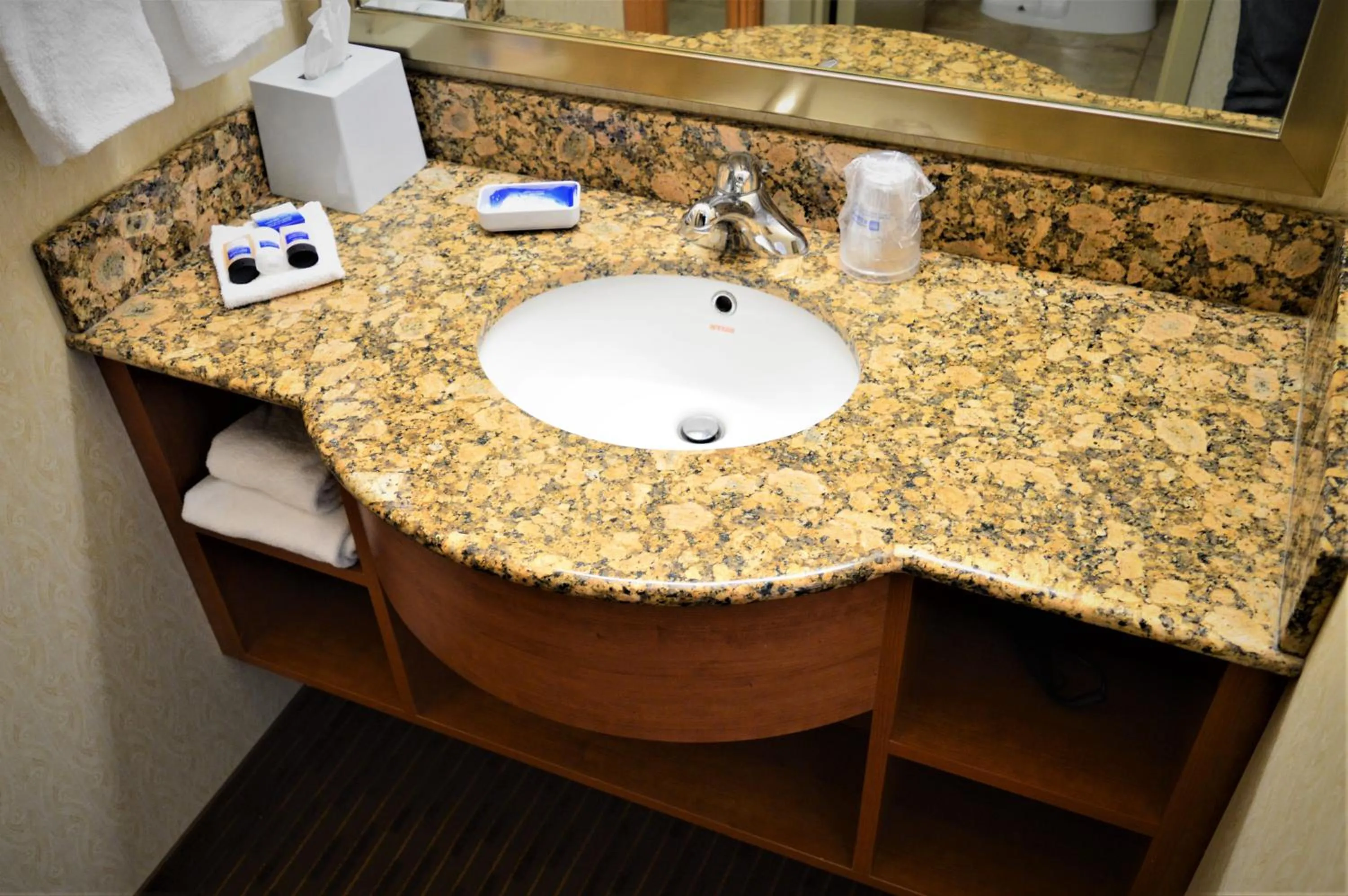 Waterloo Suites Hotel