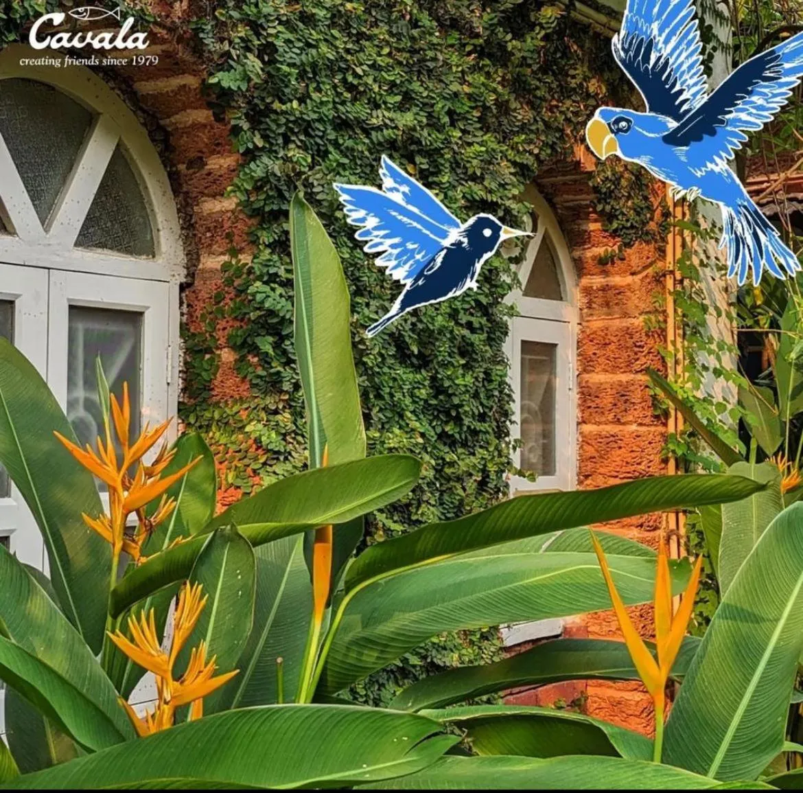 Cavala The Seaside Resort