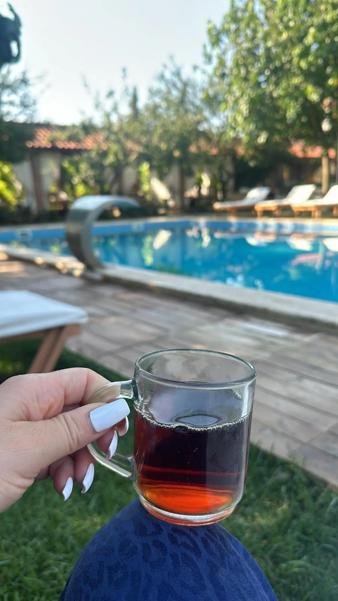 Garden in Mogla Tashan Hotel