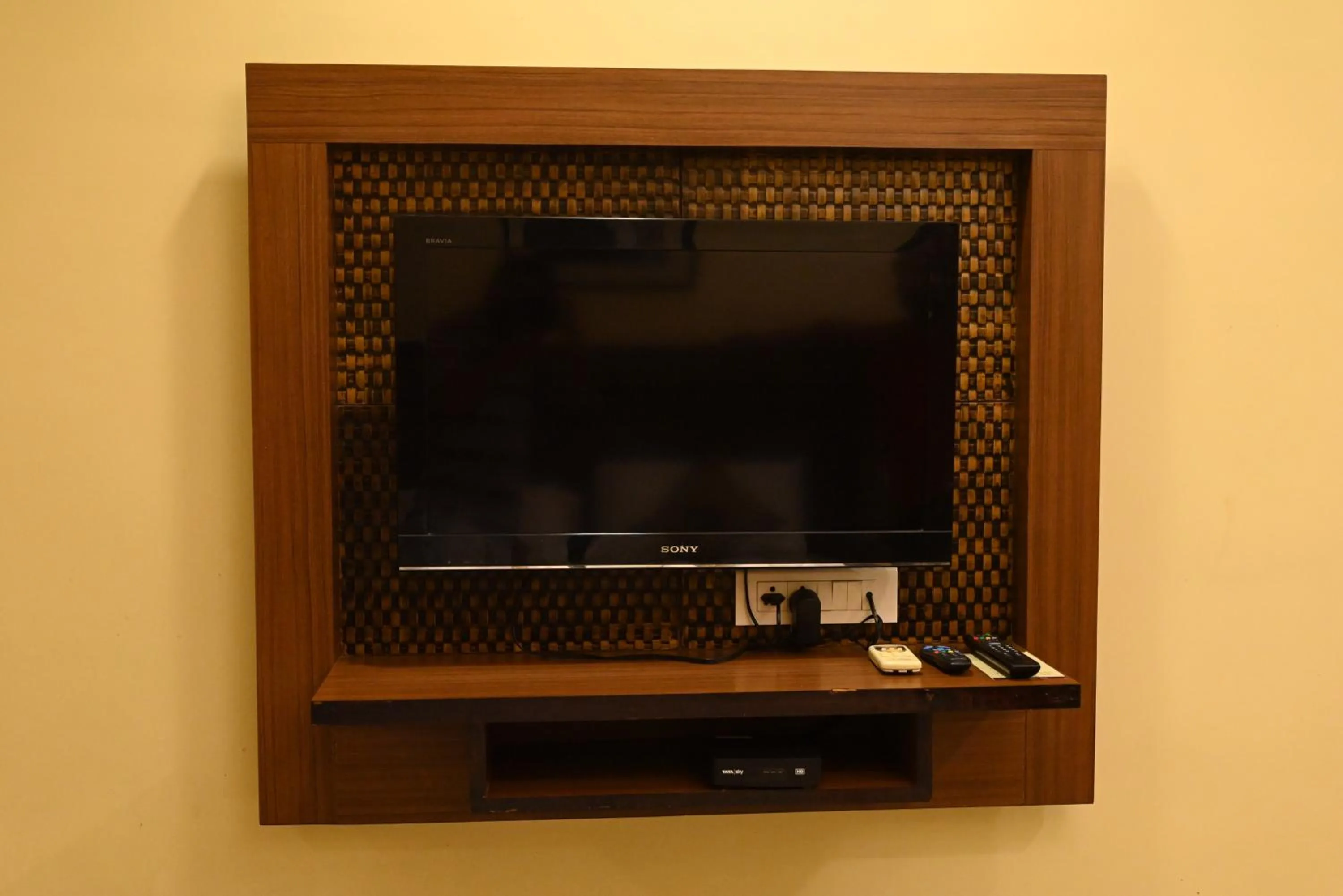 TV and multimedia in Hotel Plaza Inn, Ajmer