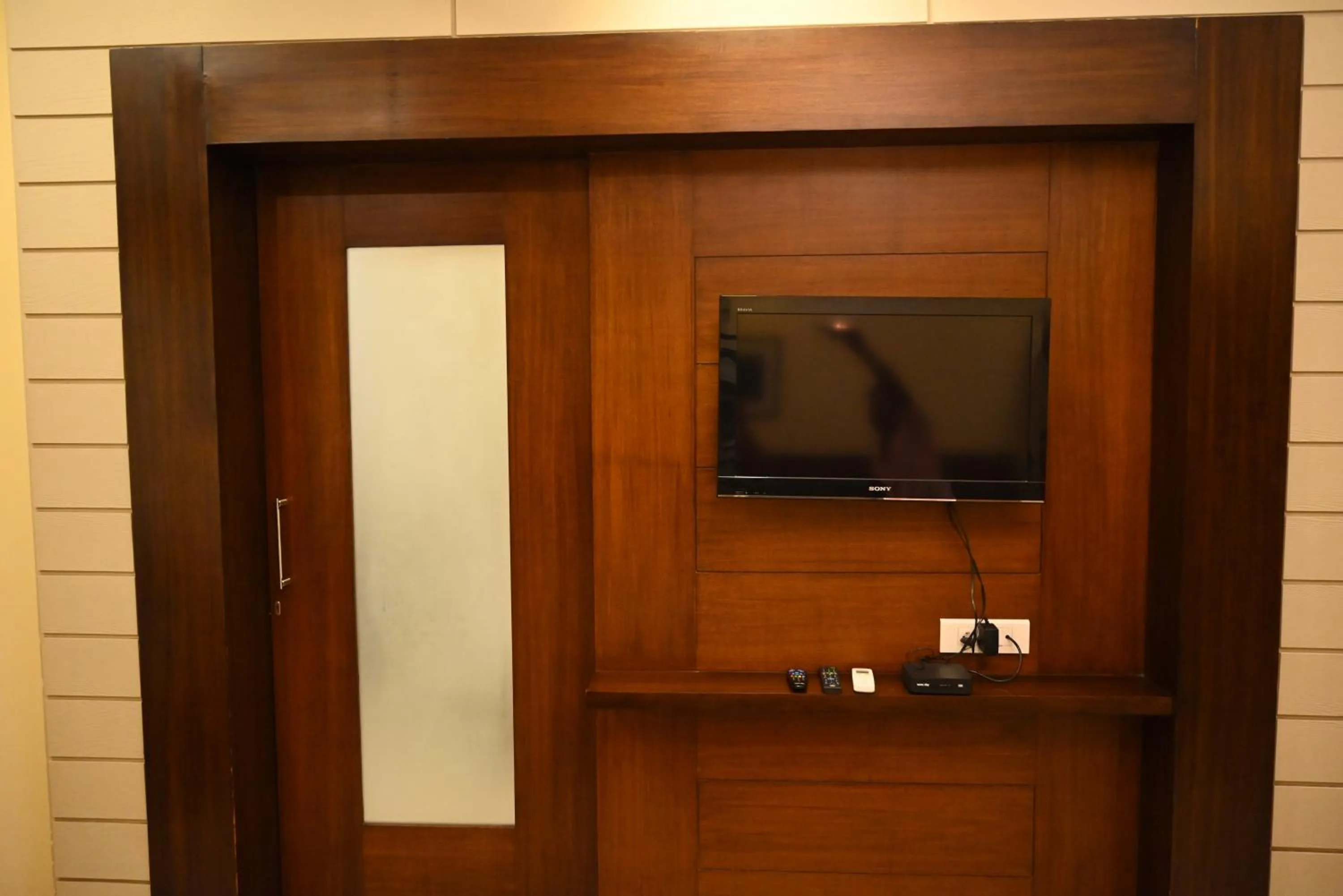 TV and multimedia in Hotel Plaza Inn, Ajmer