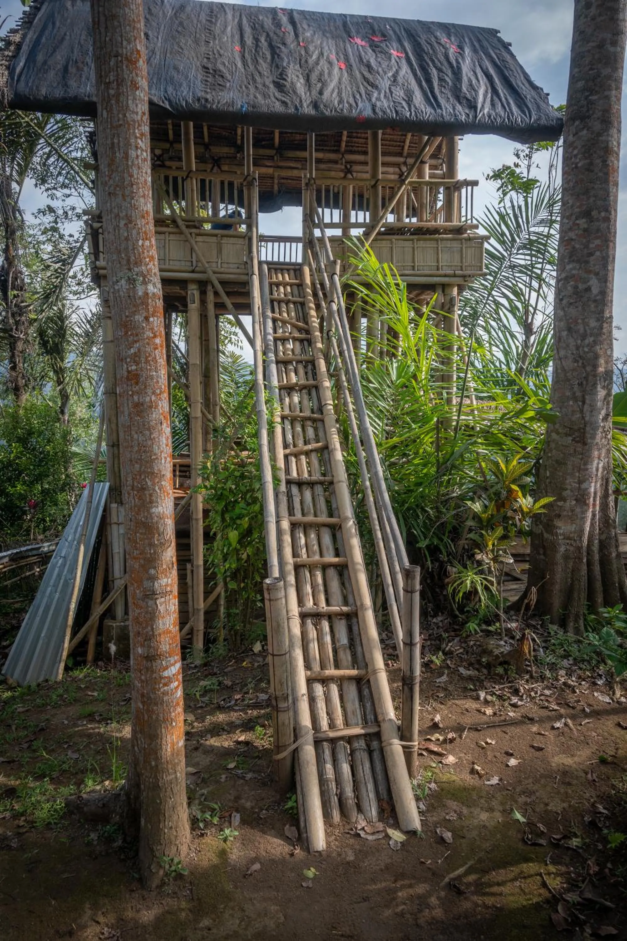 Activities in Umah Lusa